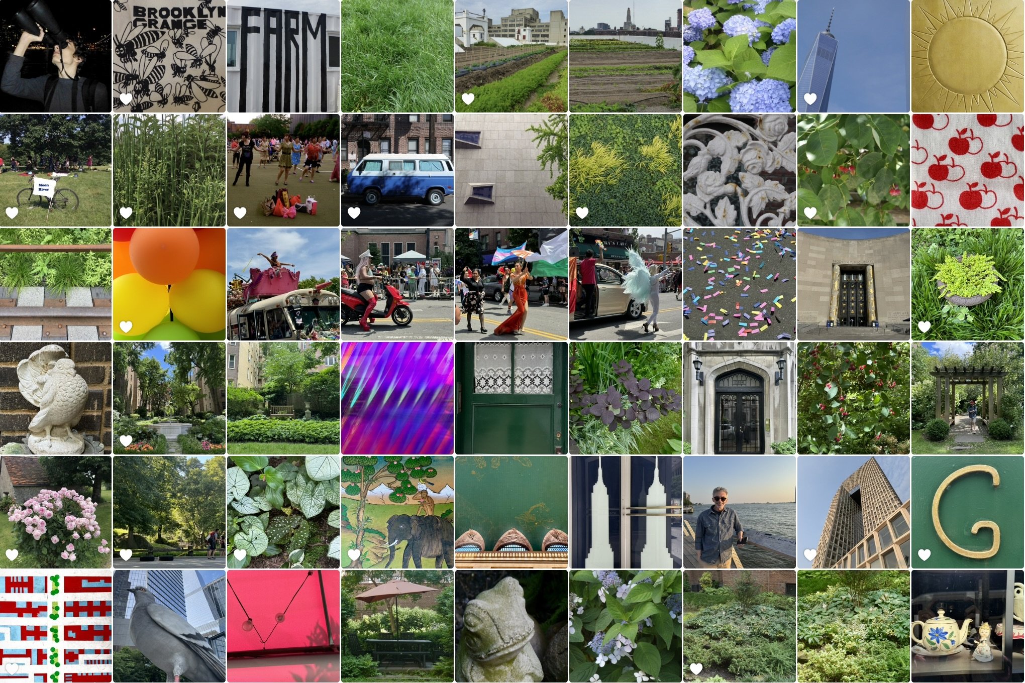 From Photo Chaos to Clarity: Declutter Your Camera Roll and Photo Albums
