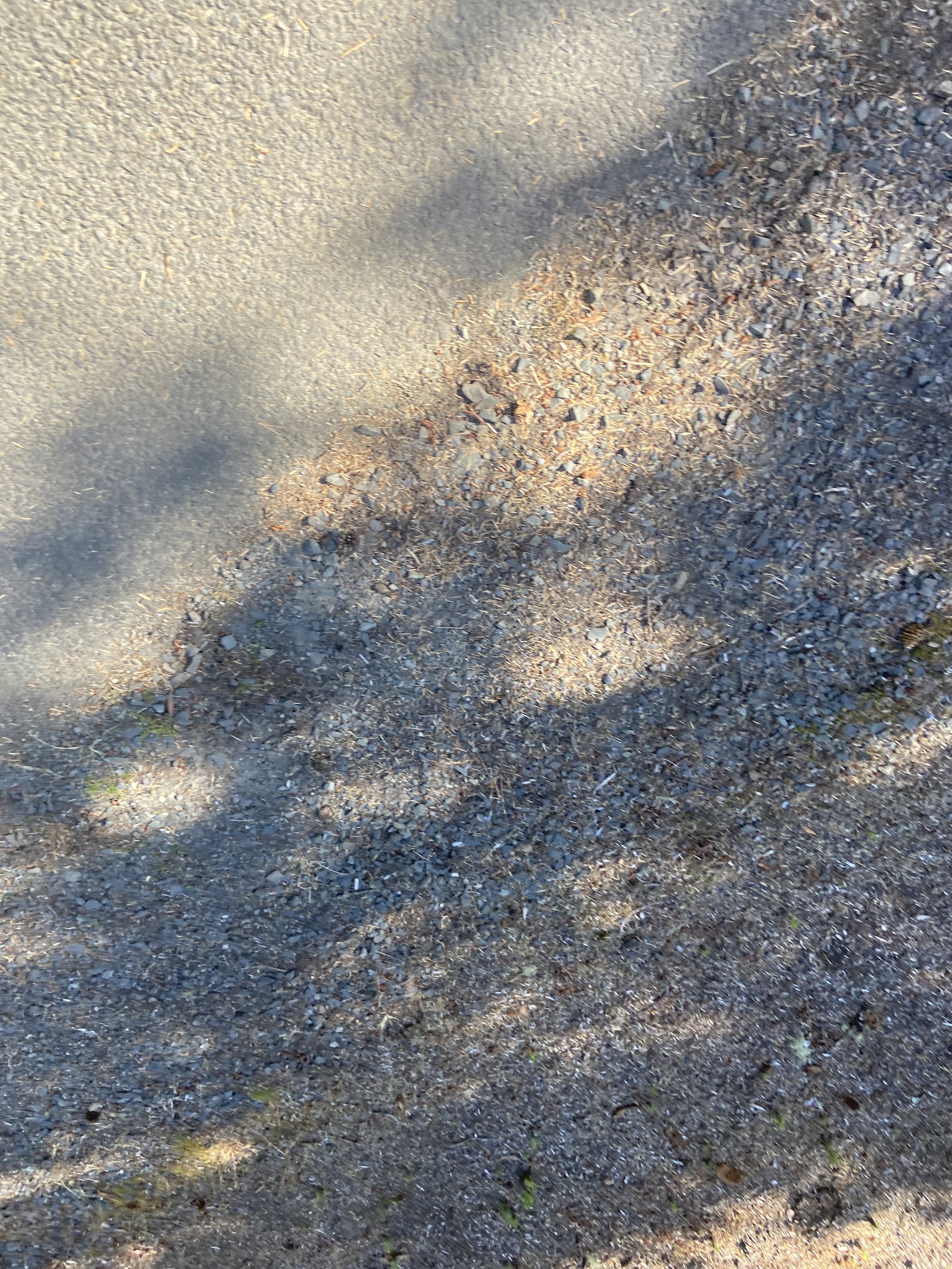 IMG_6843.jpeg