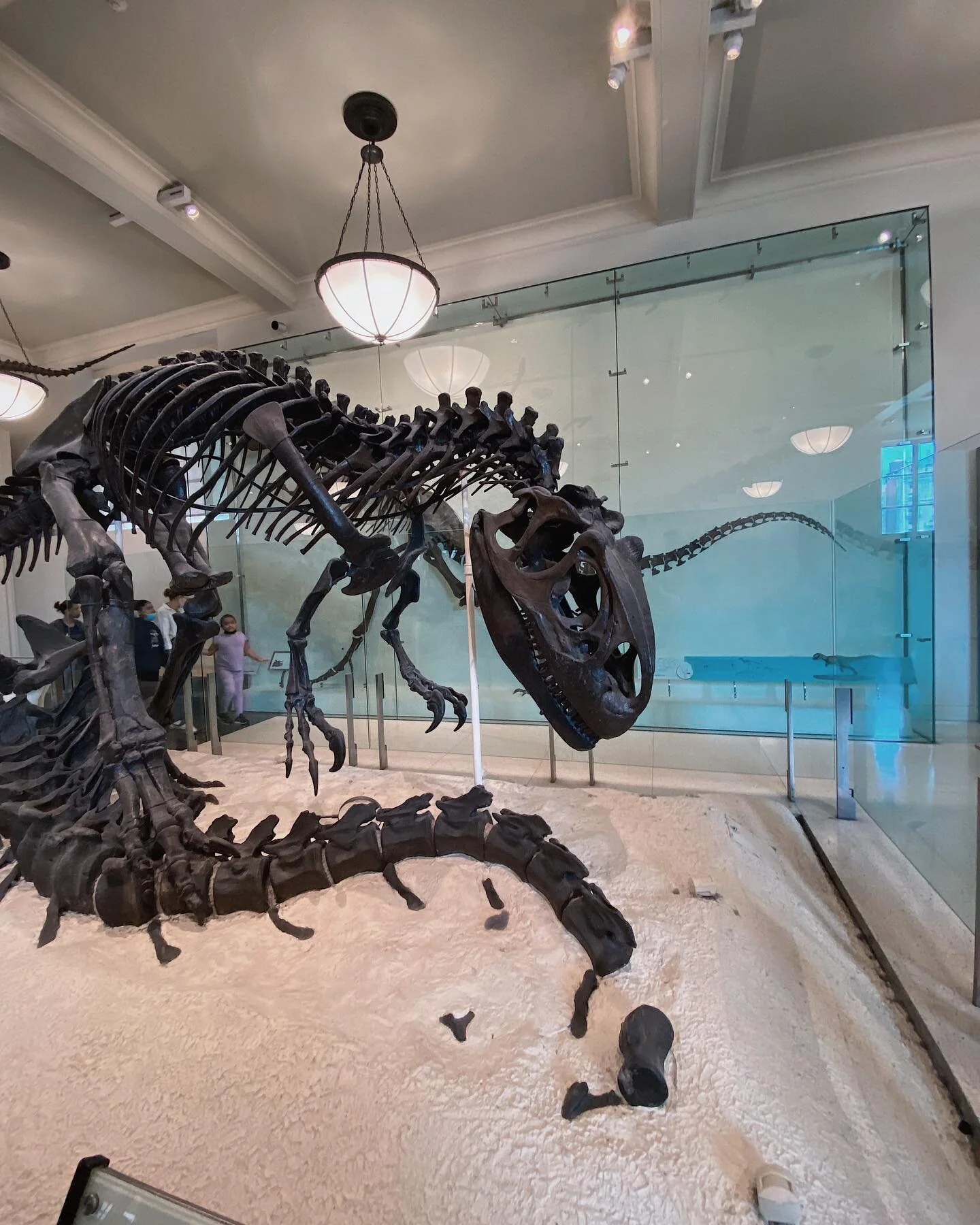 Throwback to waiting in line for FOREVER, seeing sharks, and finally getting to live my night at the museum dreams! 

🦈🦖🦕🐘🗿