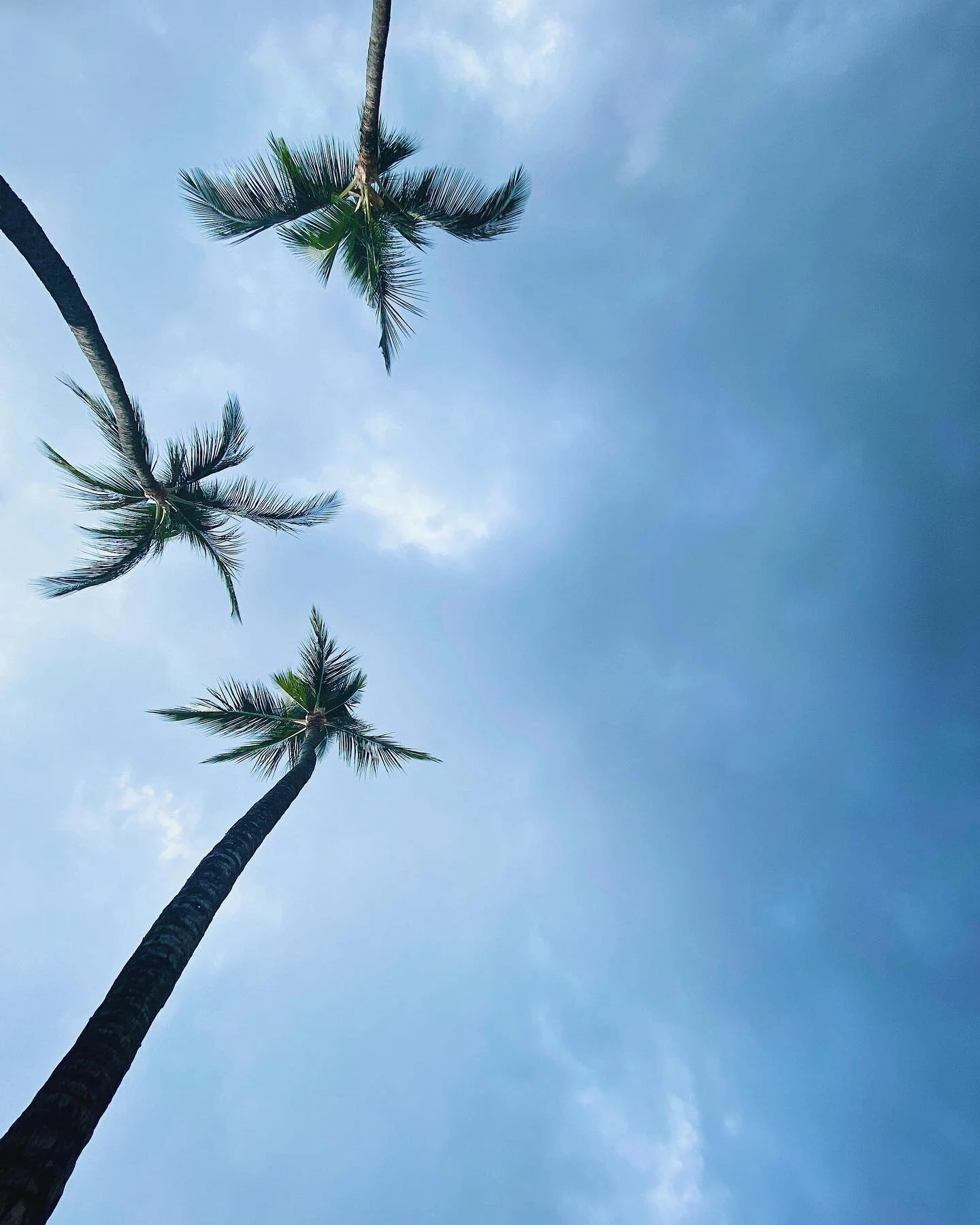 Sorry for all the hawaii pictures you&rsquo;re going to have to endure this week .. 😂