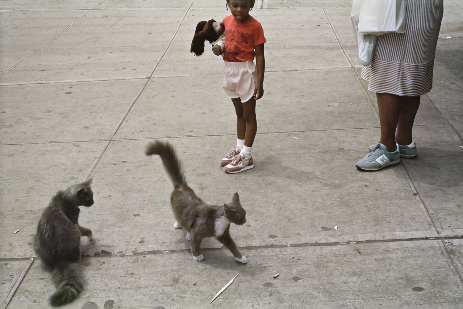14 Cats on the Sidewalk 01, 1984.jpg