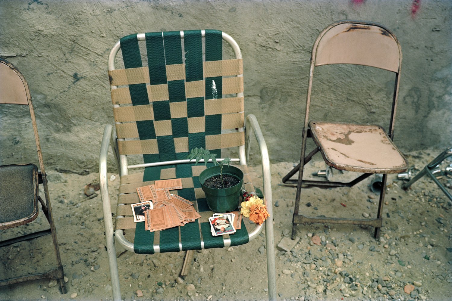 32 Cards, Plant and Chairs in Community Garden, 1989.jpg