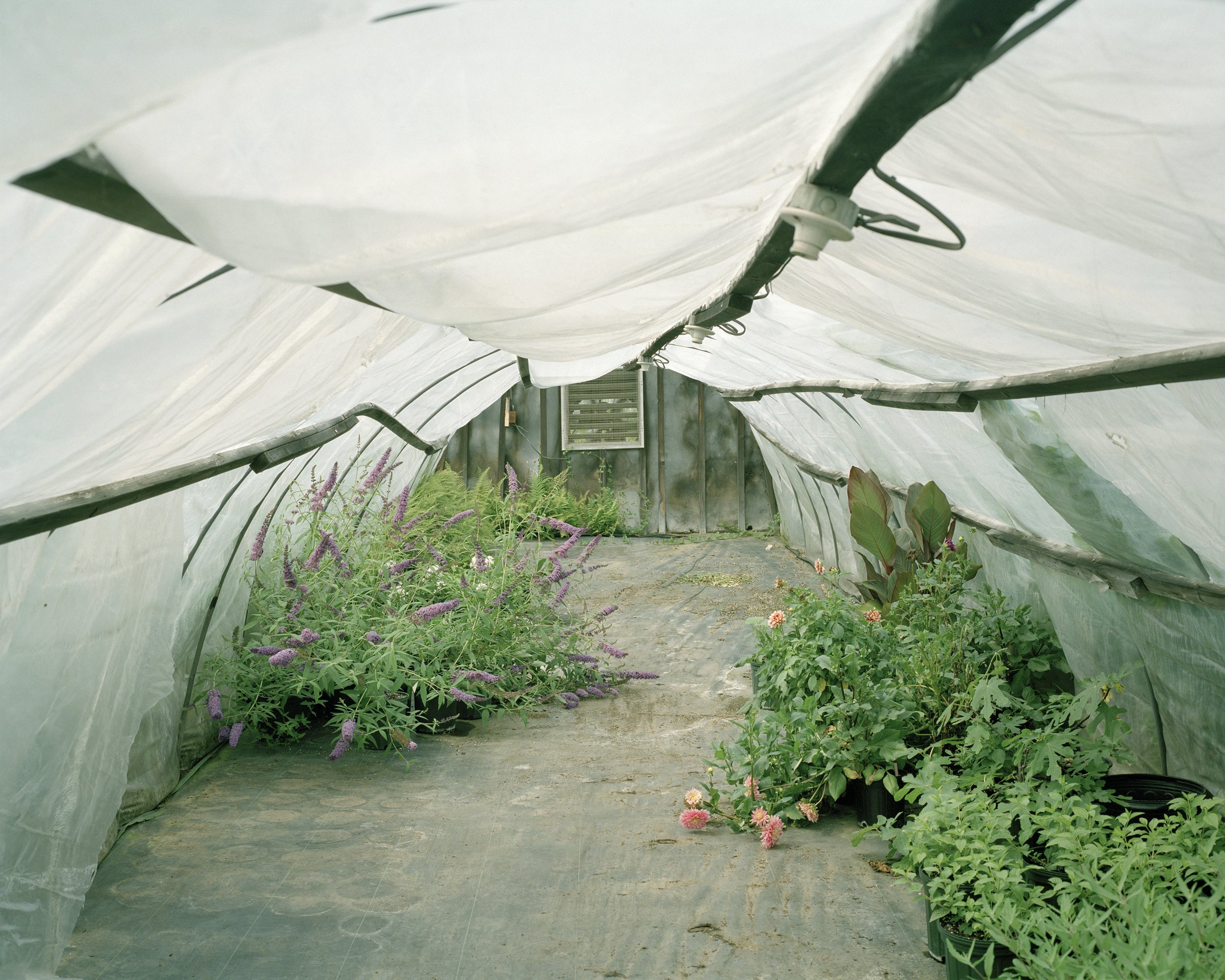 12 aScenic Gardens-Hoop House 01.jpg