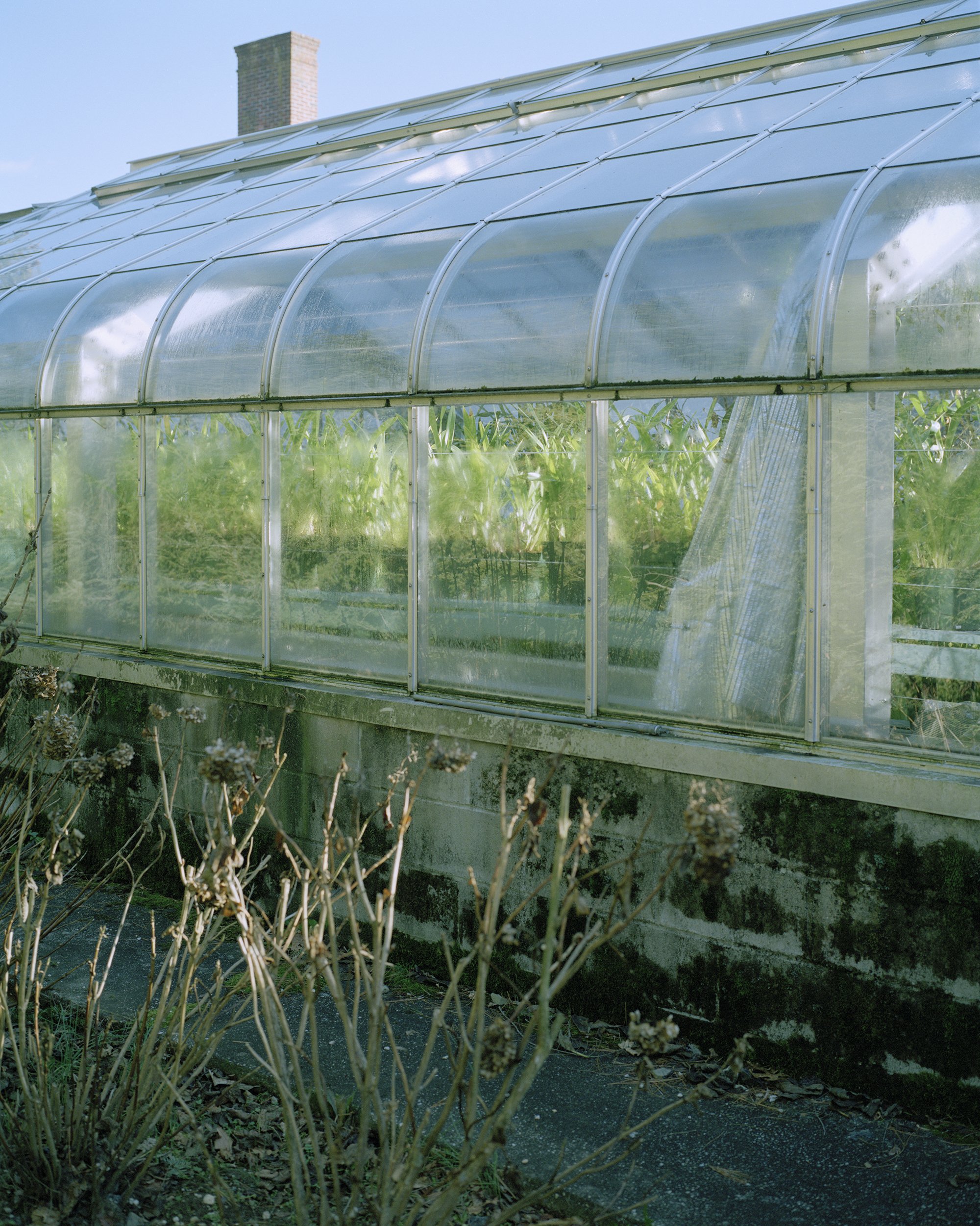 18 Guest Greenhouse-Exterior 01.jpg