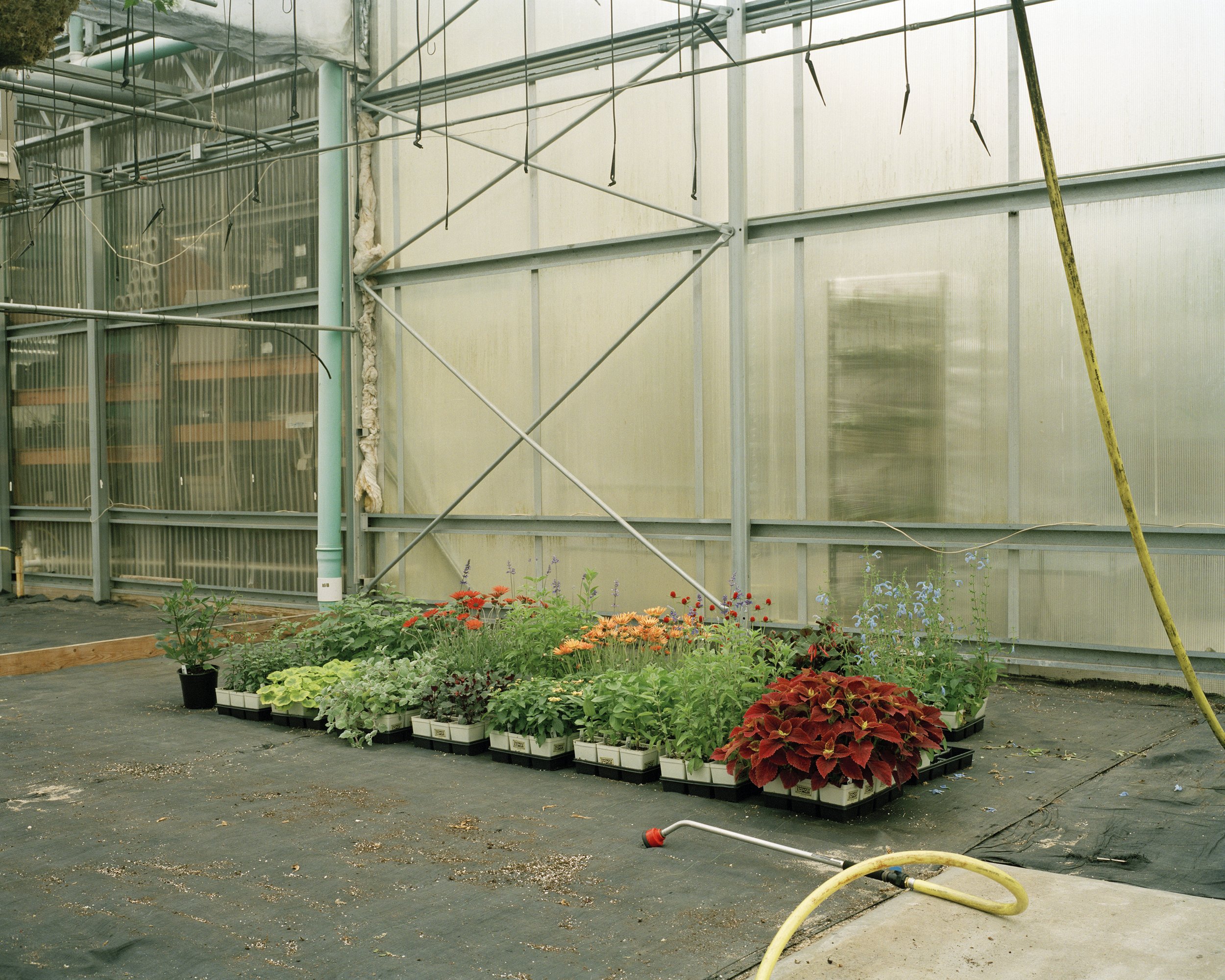 31 Aqueboque Greenhouse-Watering.jpg
