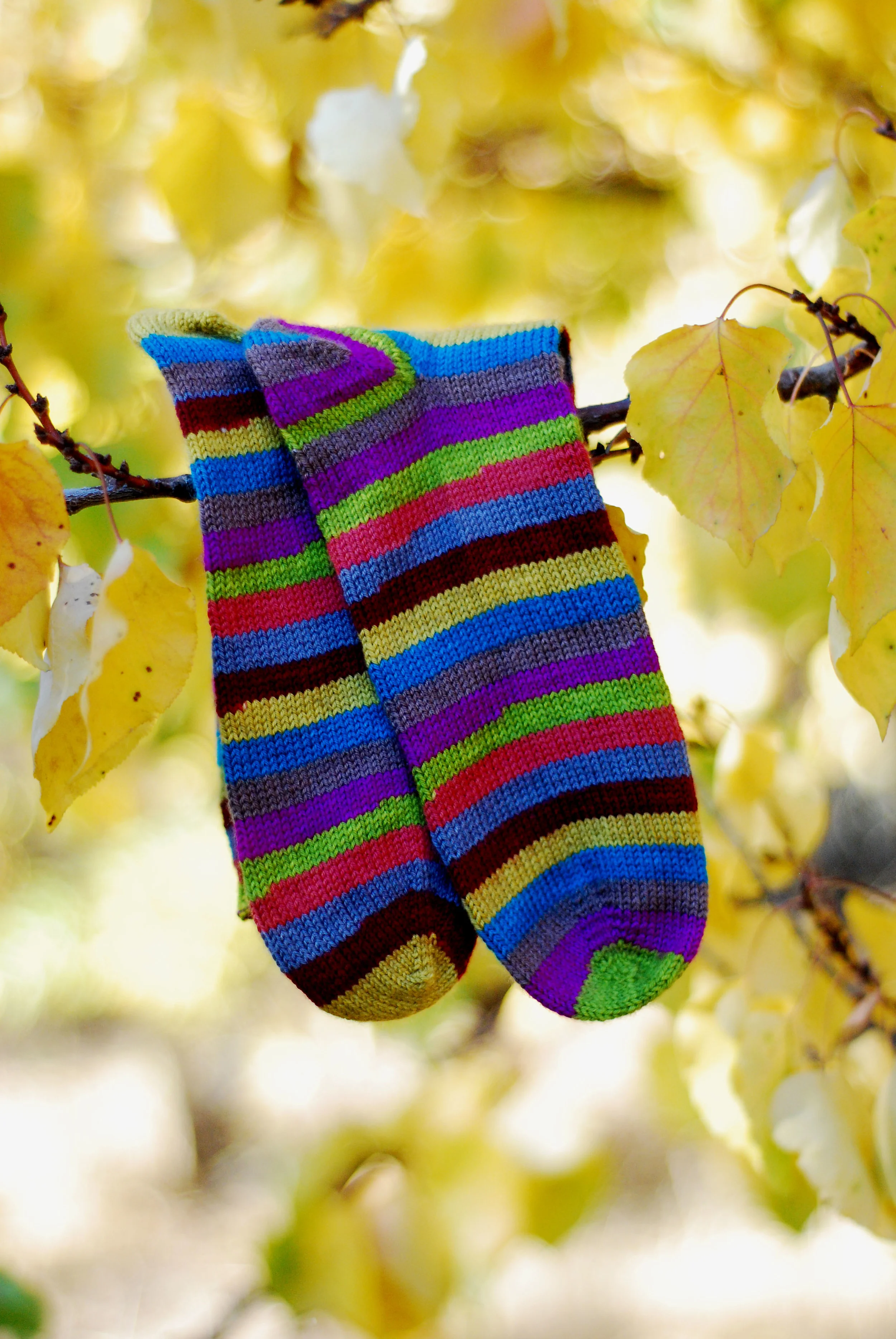hangingstripes