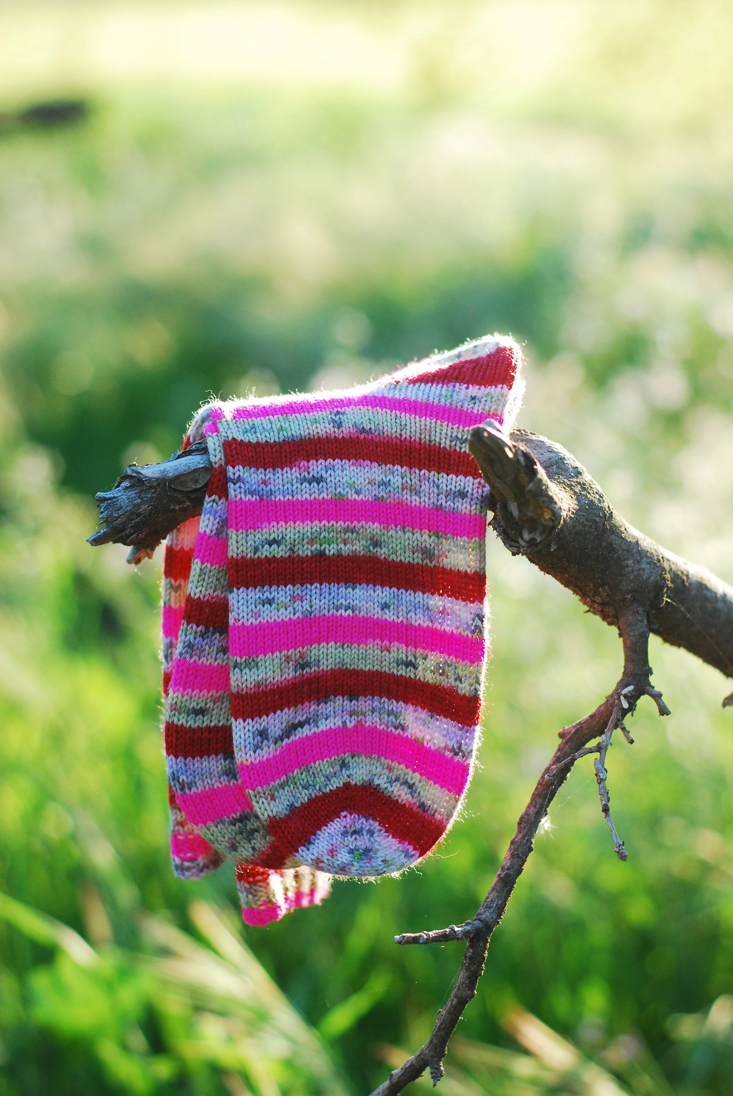 stripedsocksbranch