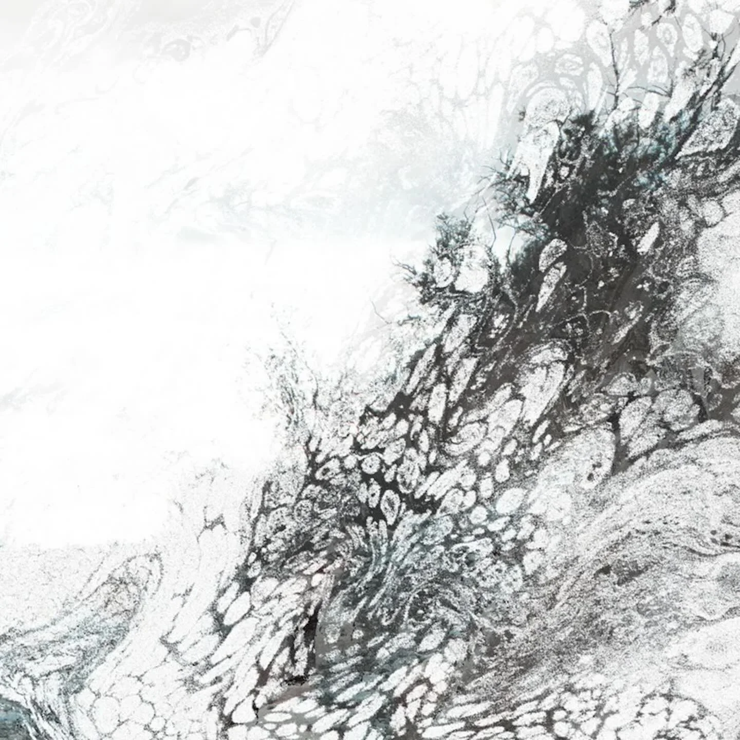 Portland - Streaming Now