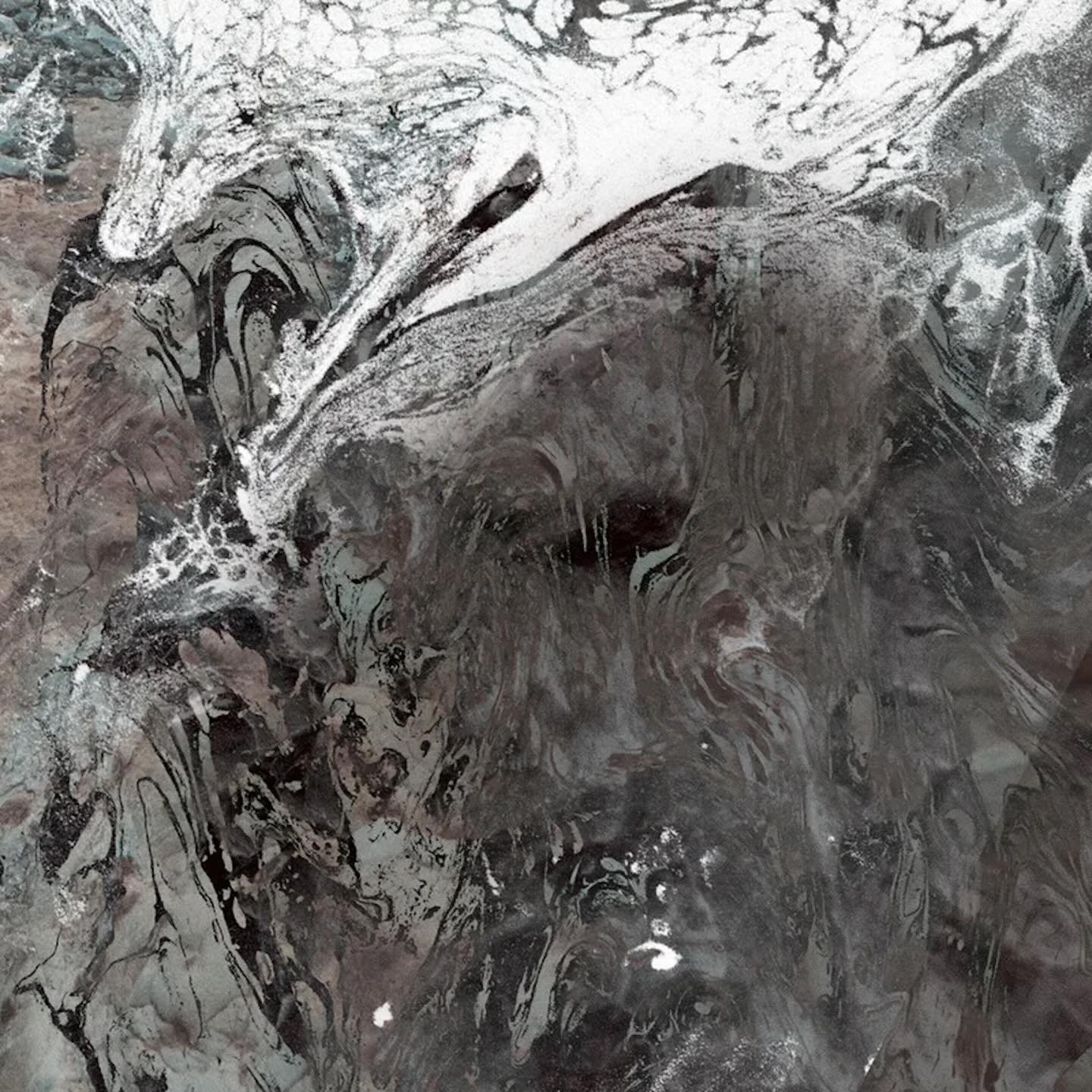 New Haven - Streaming Now