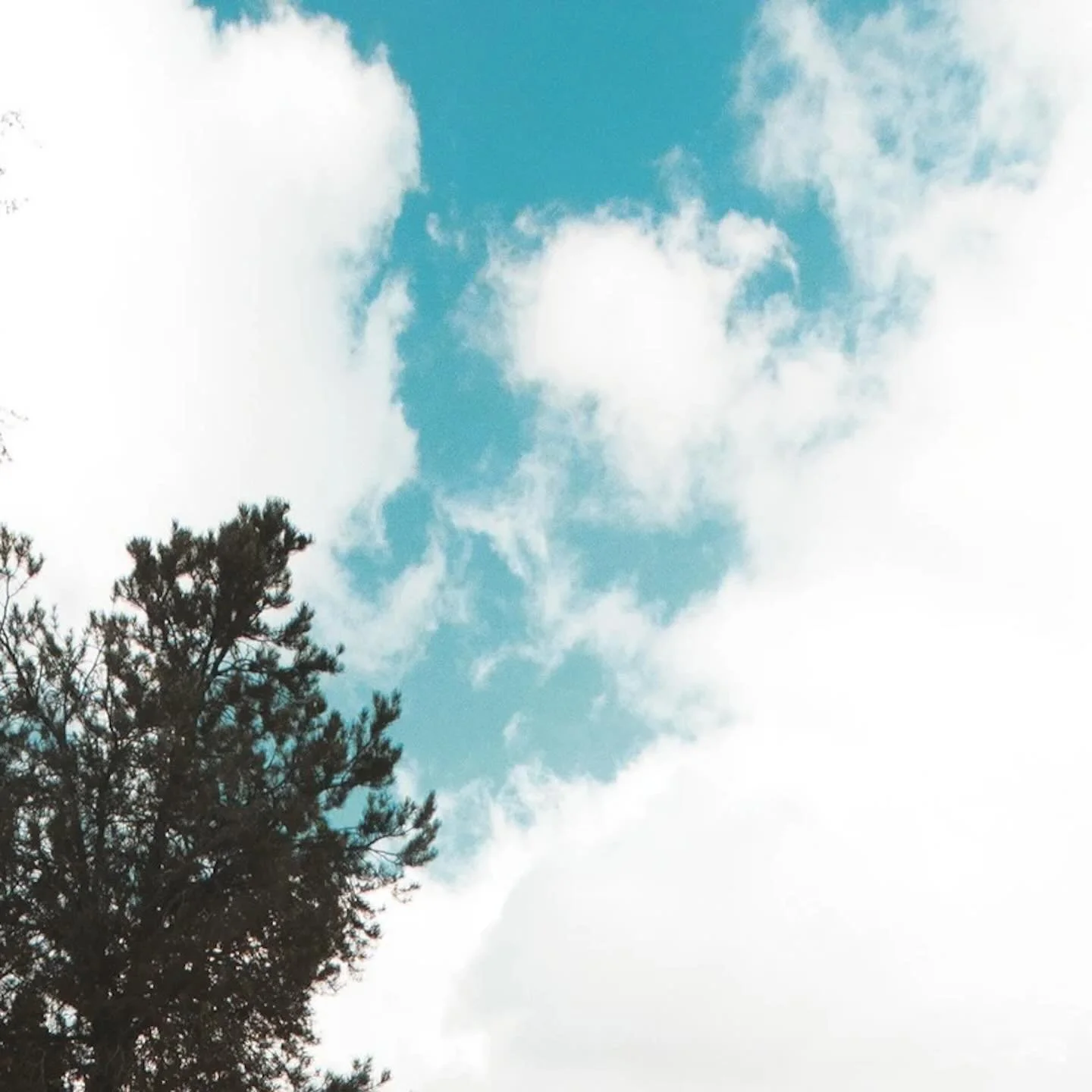 Milford - Streaming Now