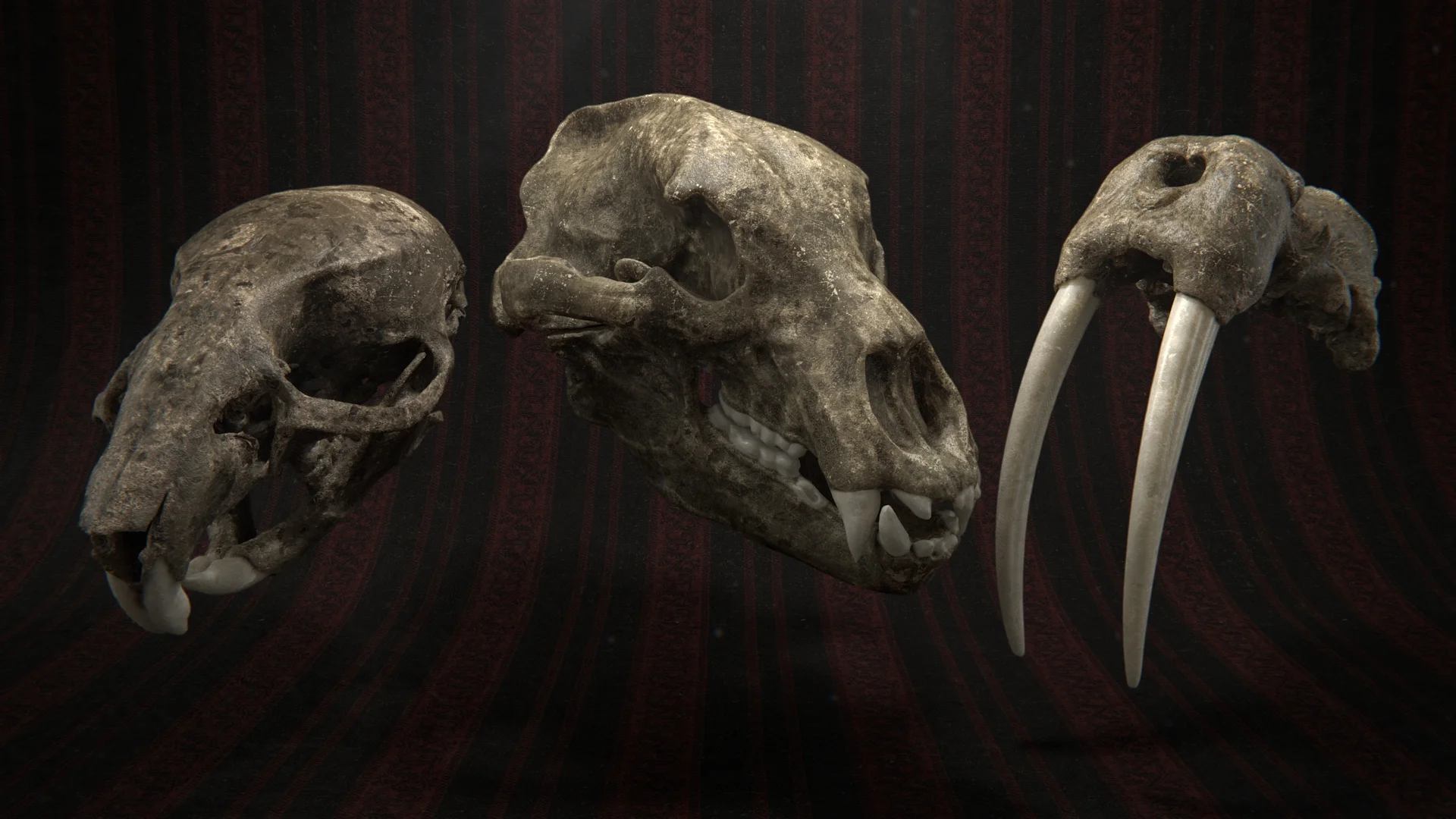 skull_STILL_HD.jpg