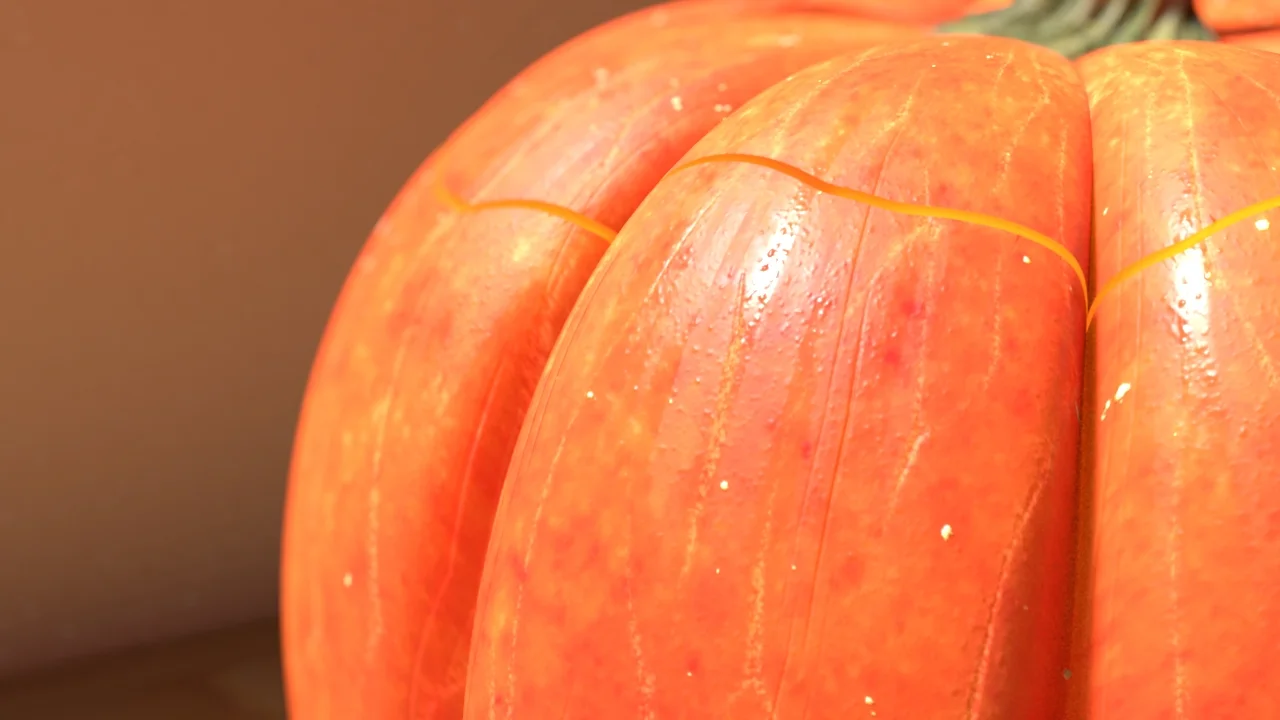 Pumpkin_CloseupSurface.v1.rgba.jpg