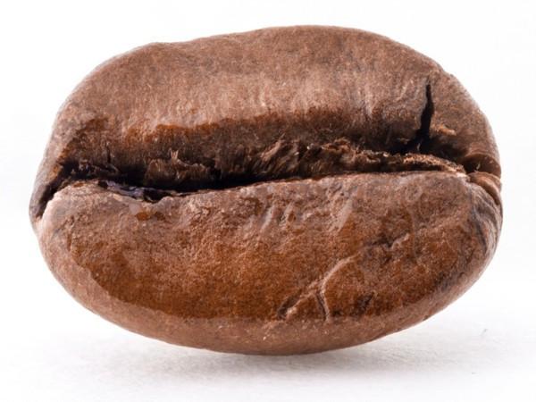 single_bean.jpg