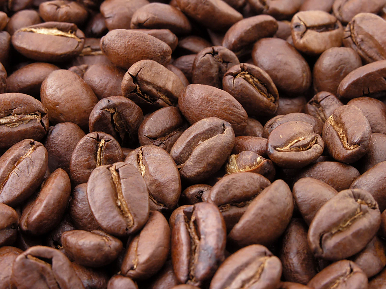 many_beans_closeup.jpg