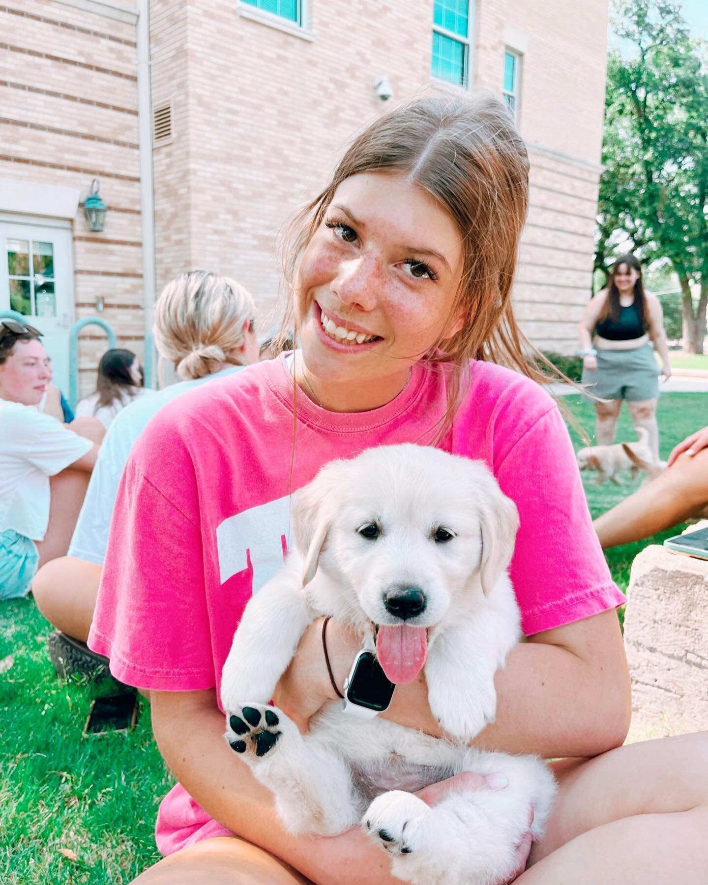 sunshine, PUPPIES &amp; smiles at the ADpalace !! 

Thank you @s.g.1.2.3 for an amazing wellness event 

&amp; Thank you @kaitlyn.dupre for letting us play with your pups today 🫶🏼