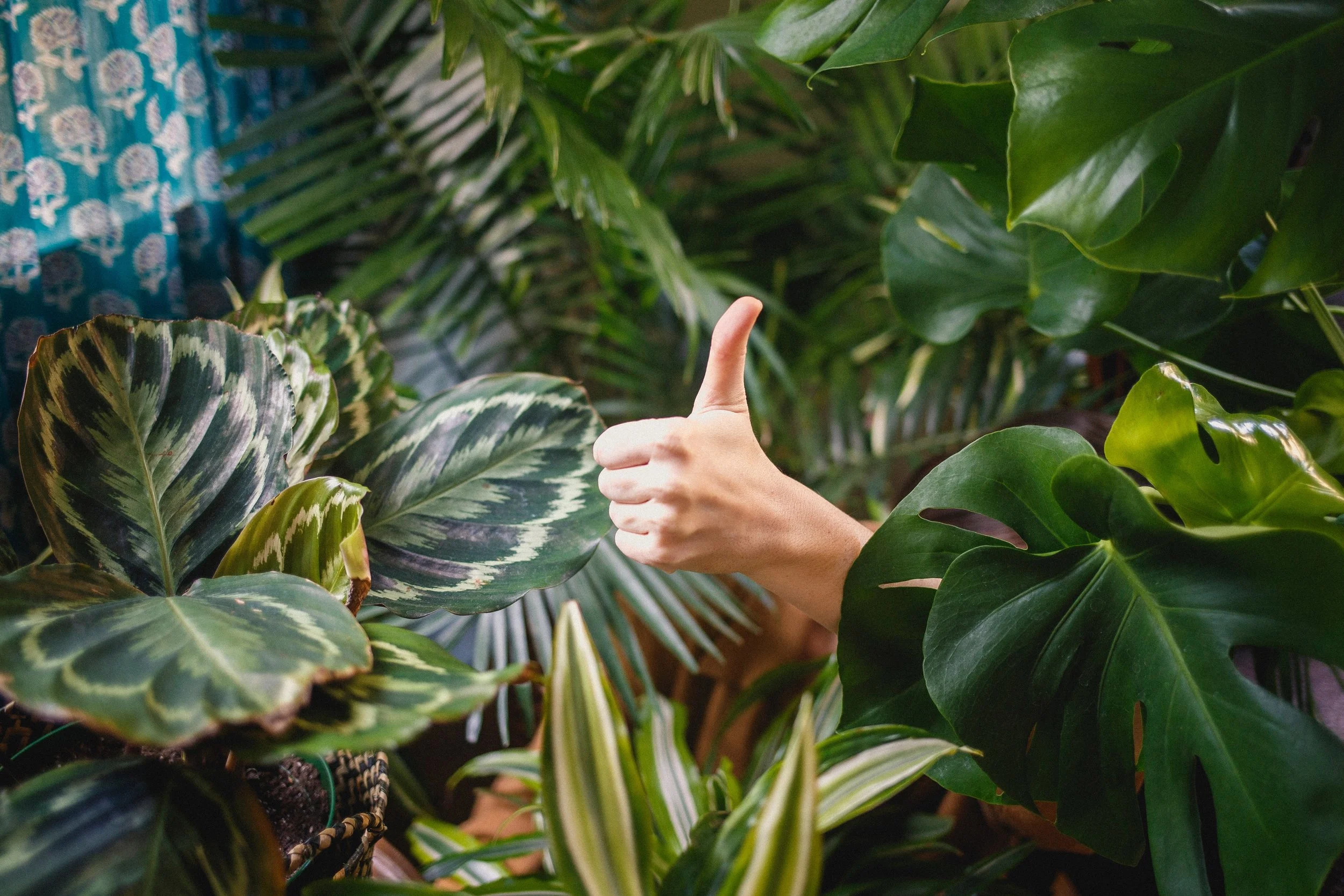 Skier’s Thumb in Darwin?!