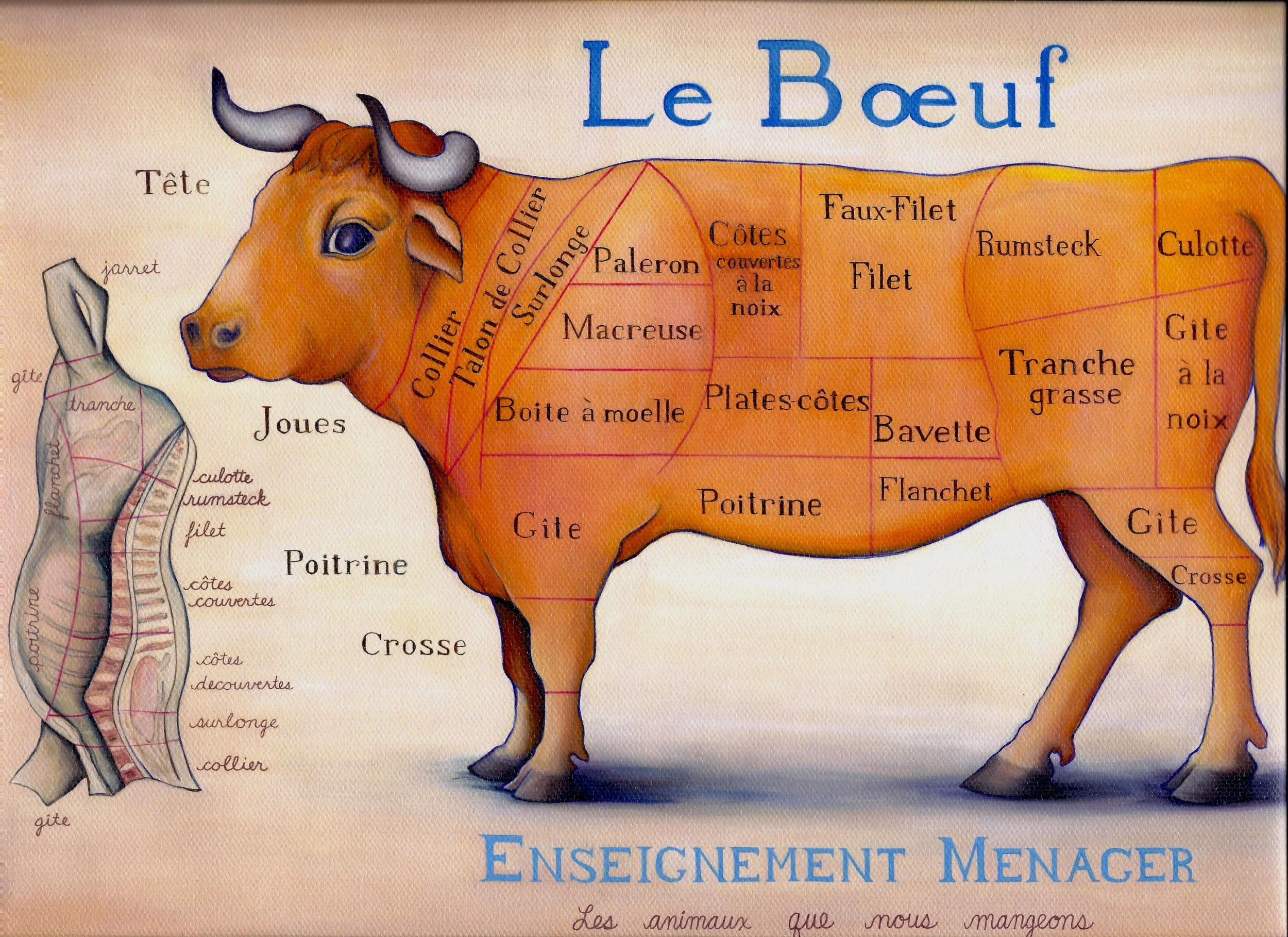 Enseignement Menager - Le Boeuf