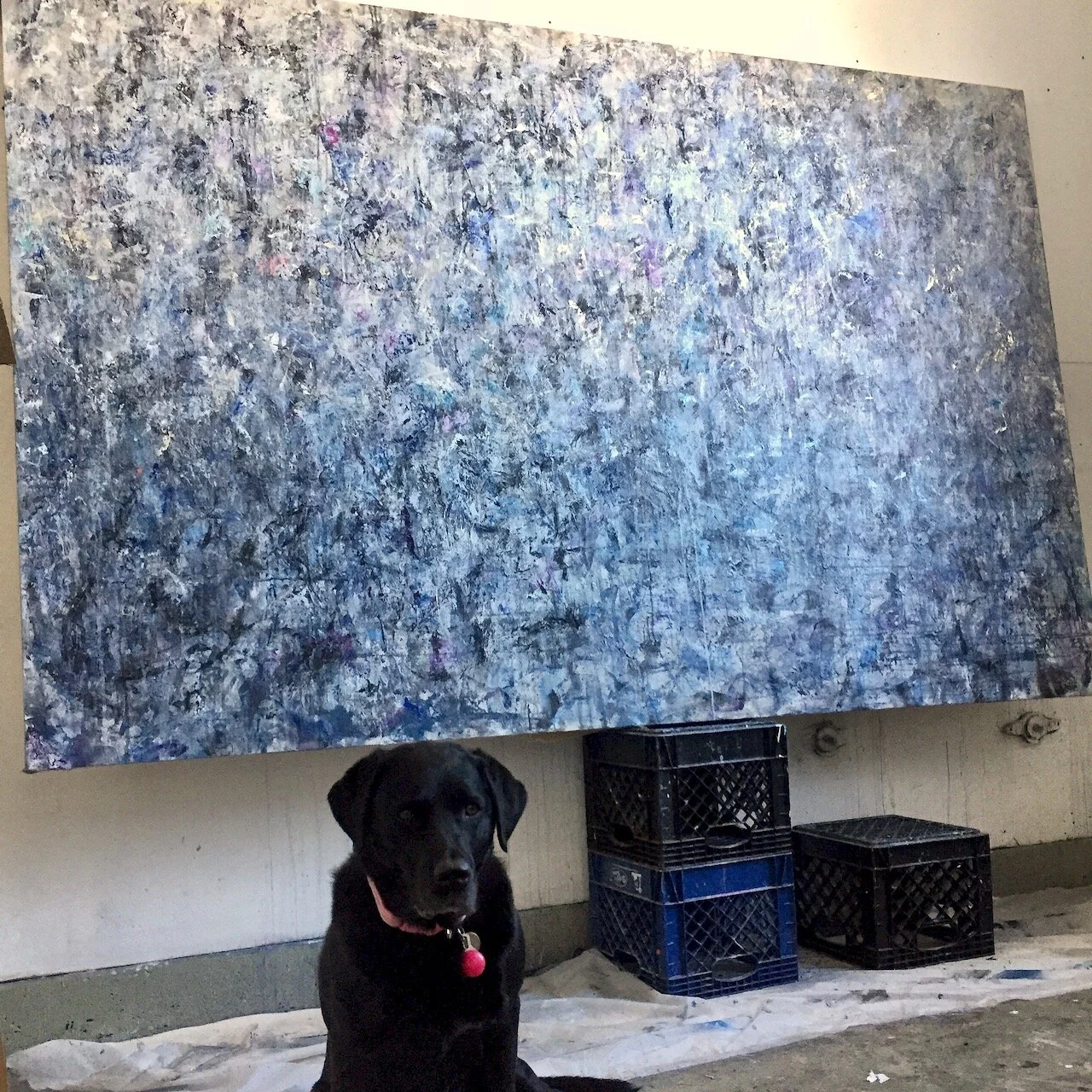 IMG_3593.jpeg