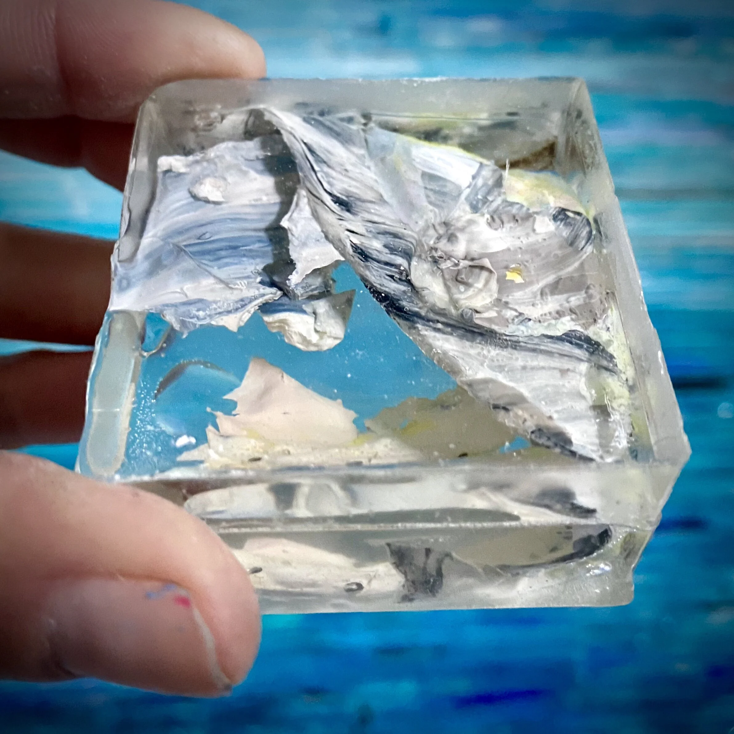 36BBF272-0E10-41AA-B6CB-A1D5B93F4FCE