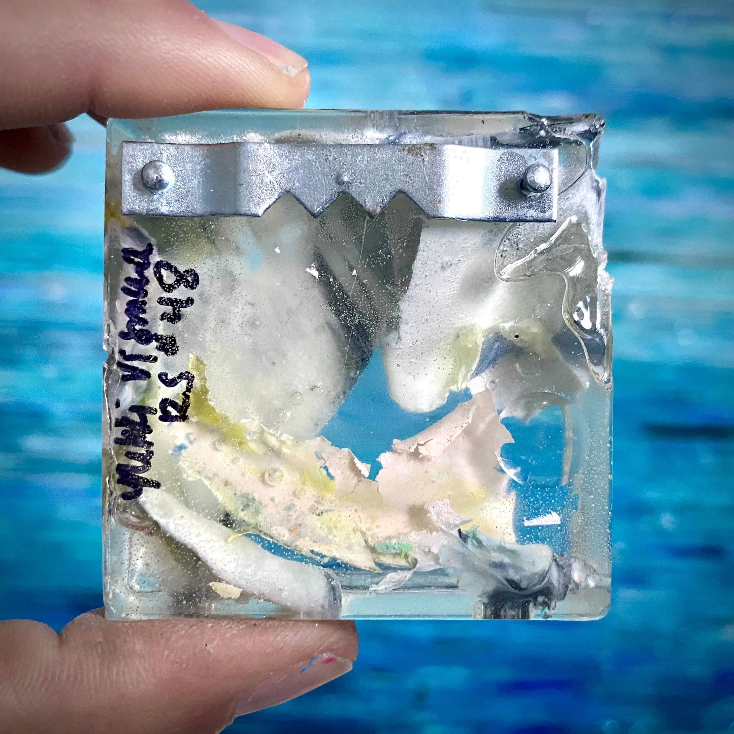 EAA37289-D768-4210-99F2-FDB36E372295