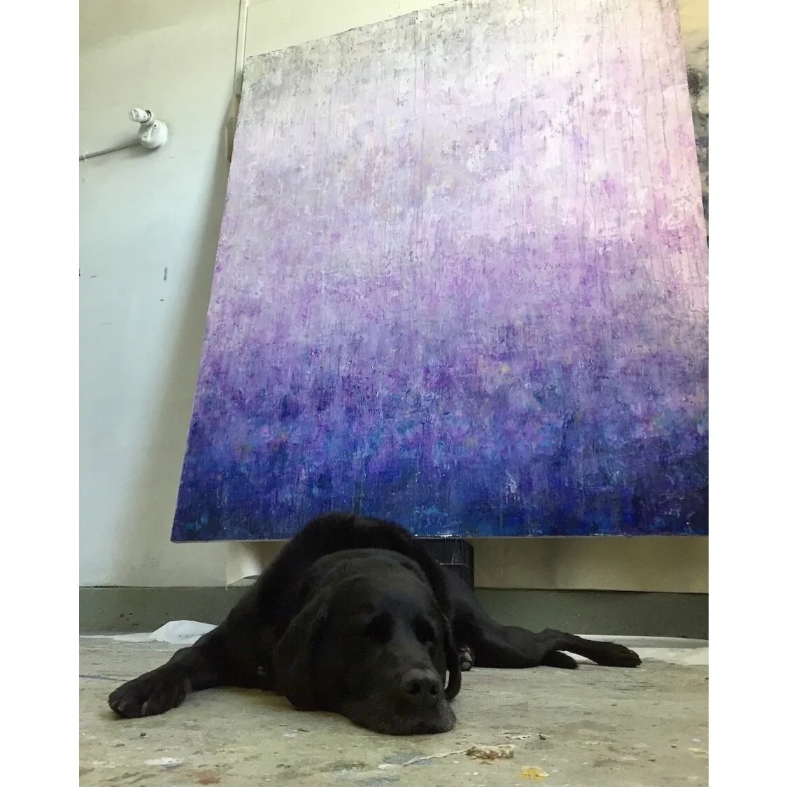 AE4FE865-ED96-4A91-B3C4-1D6AF367BC3D