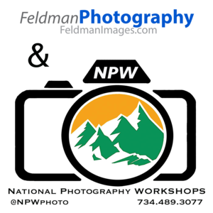 feldman+photography.png