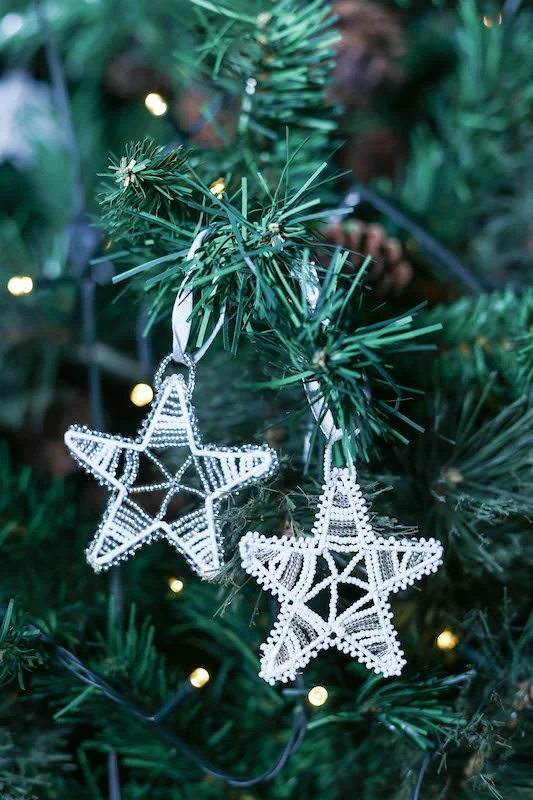 ThandaZulu_ChristmasShoot-79.jpg