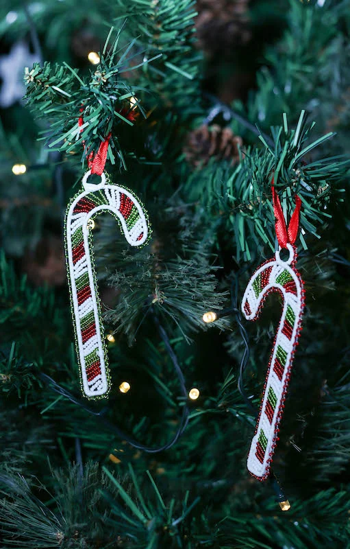 ThandaZulu_ChristmasShoot-78.jpg