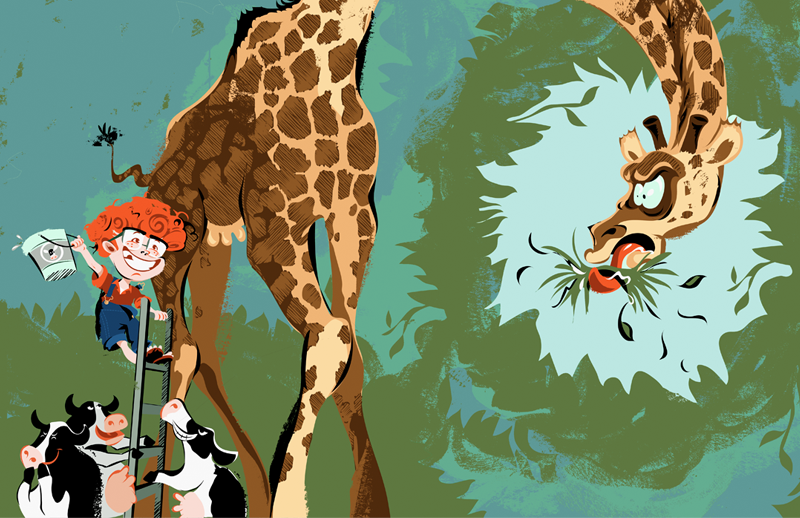 Picture books | Torynova.com