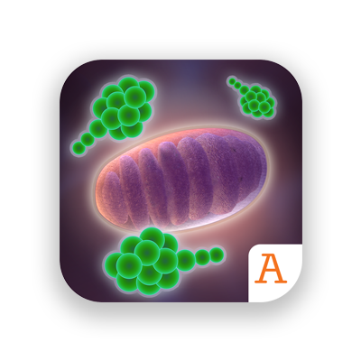 cellsim2.png