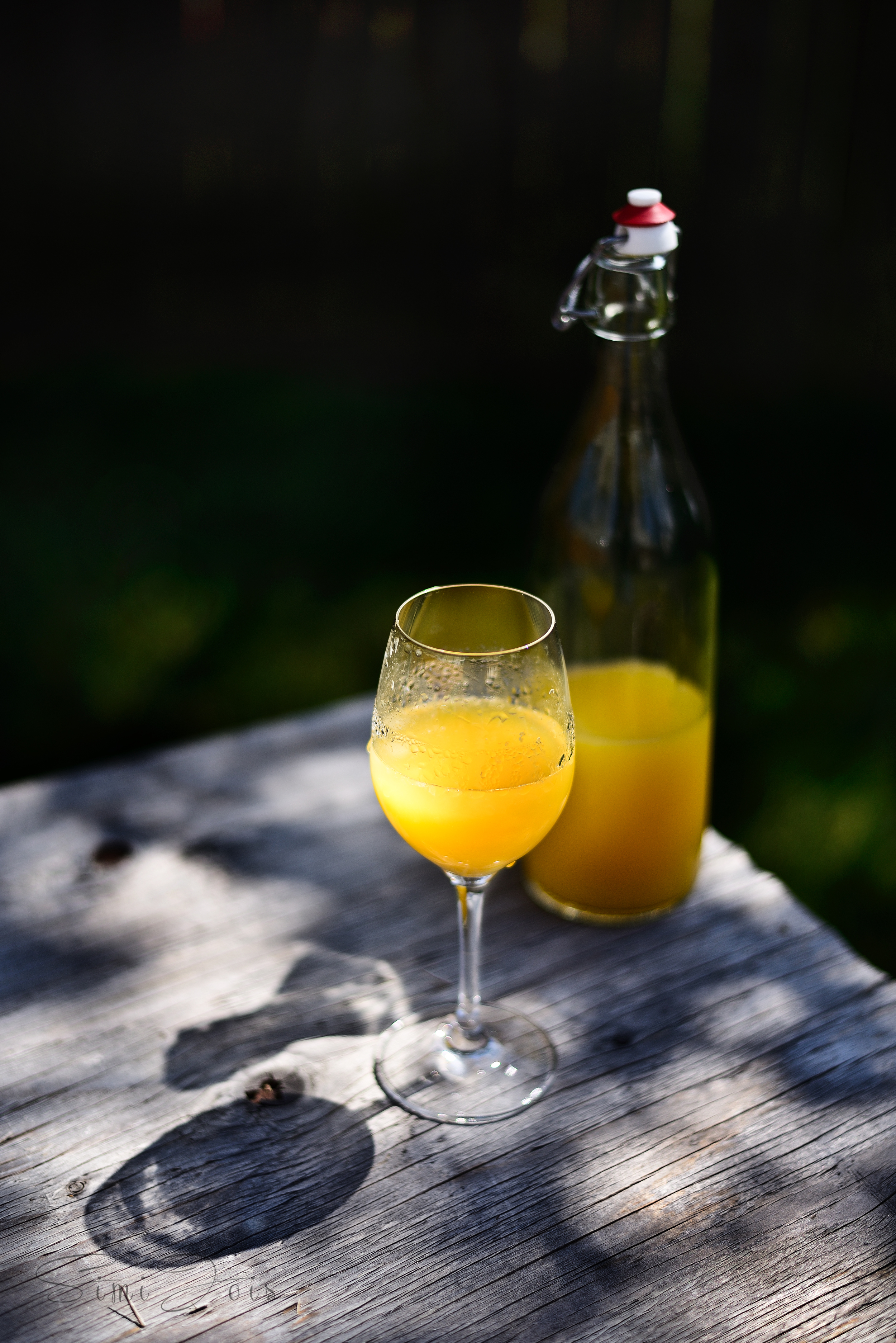 OrangeJuice-SimiJois.jpg