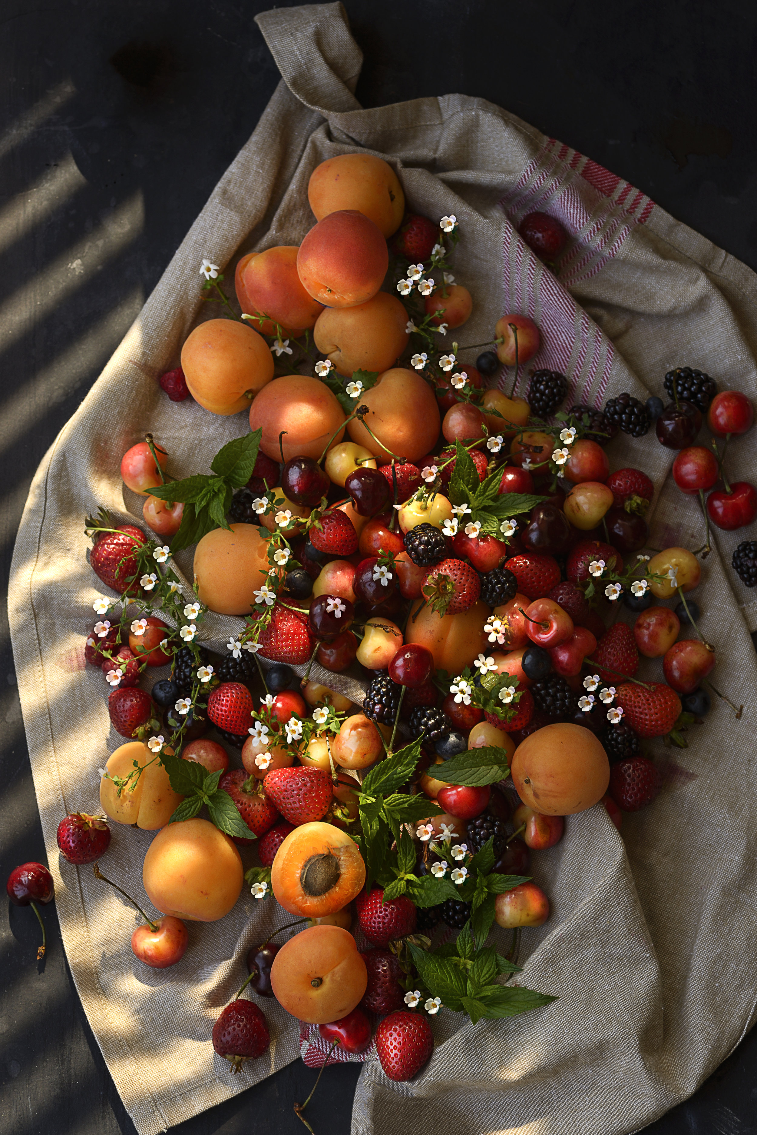 BerriesOnTowel-HR-SimiJois-2016.jpg