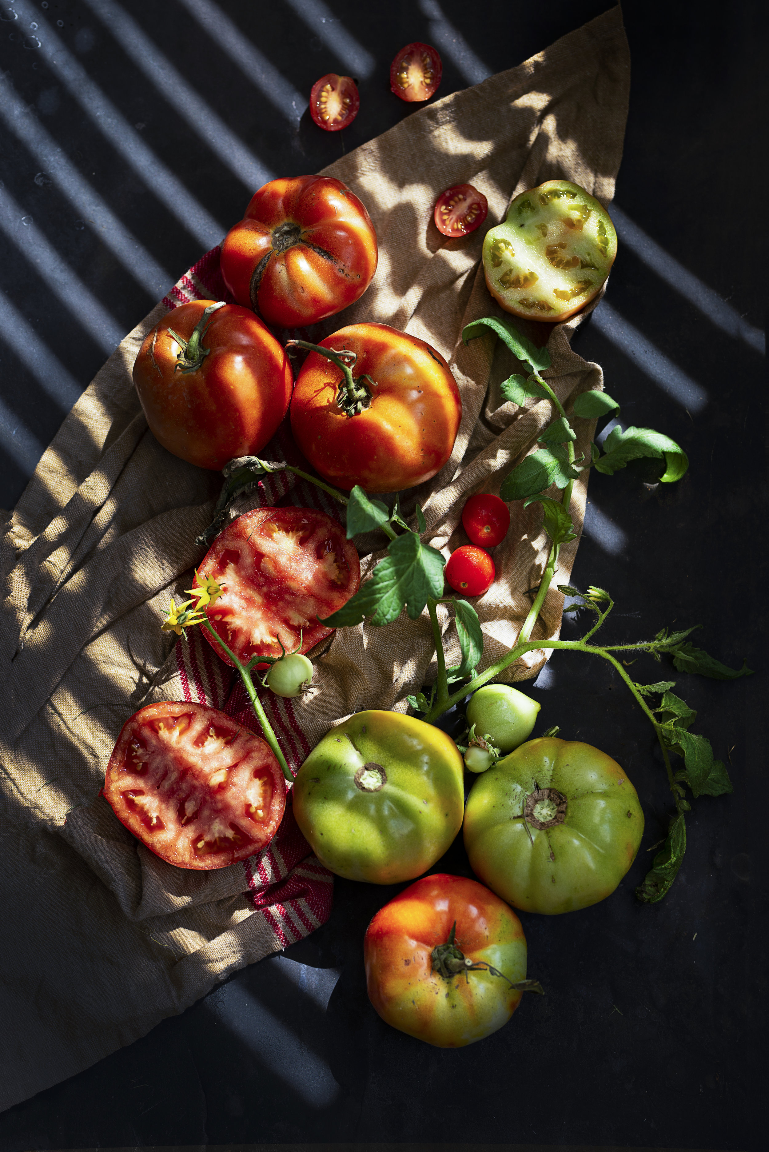 Tomatoes-HR-SimiJois-2018.jpg