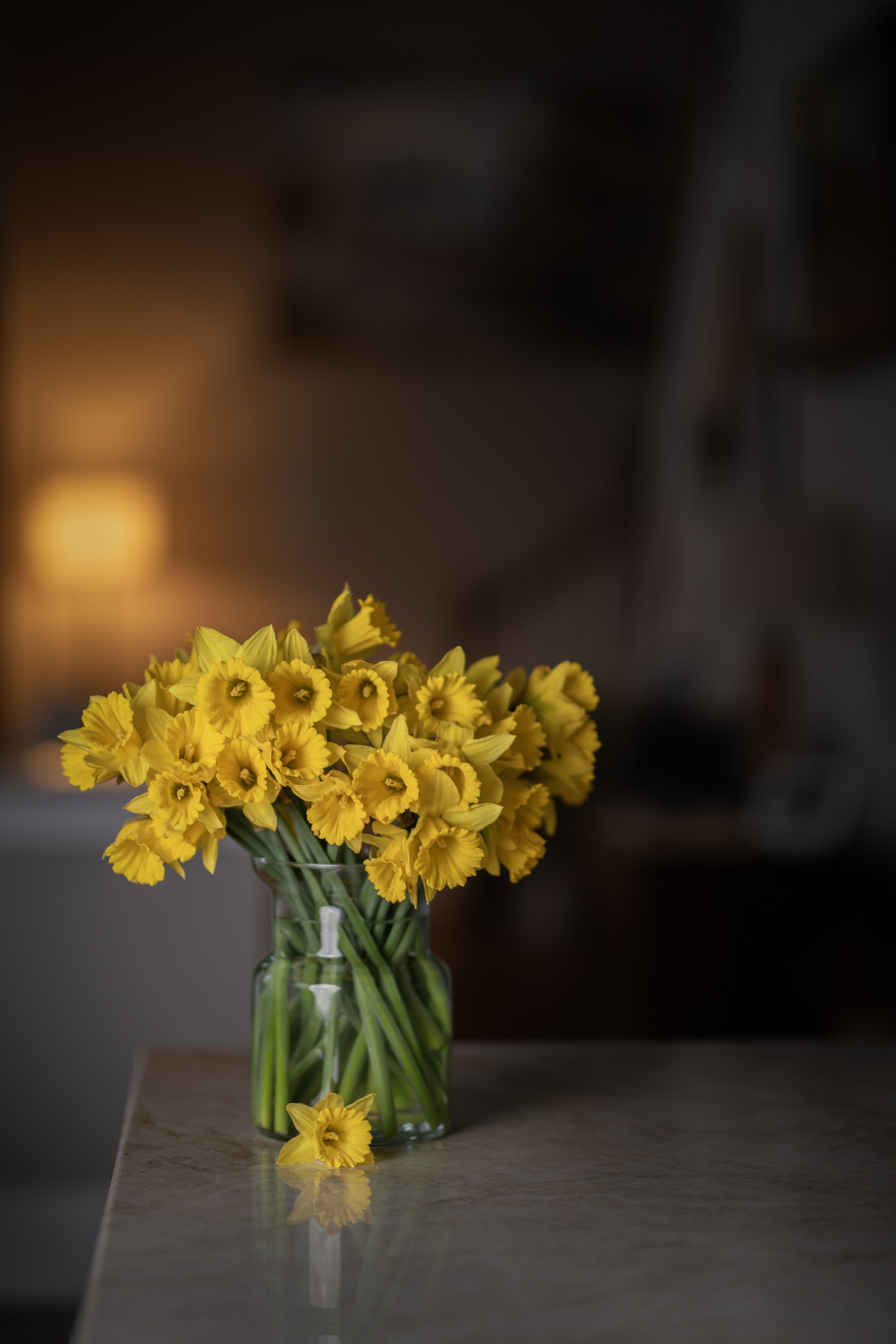 YellowDaffodils-Spring-KitchenCounter2-SimiJoisPhoto-2024 copy.jpg