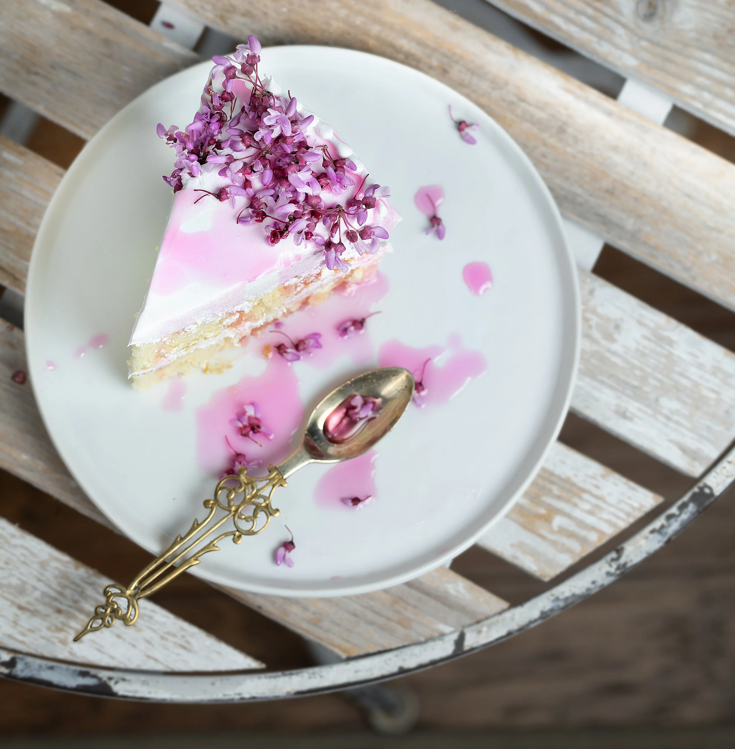 White-Cake-Slice-Redbud-HR-SimiJois-2025 copy2 copy 2.jpg