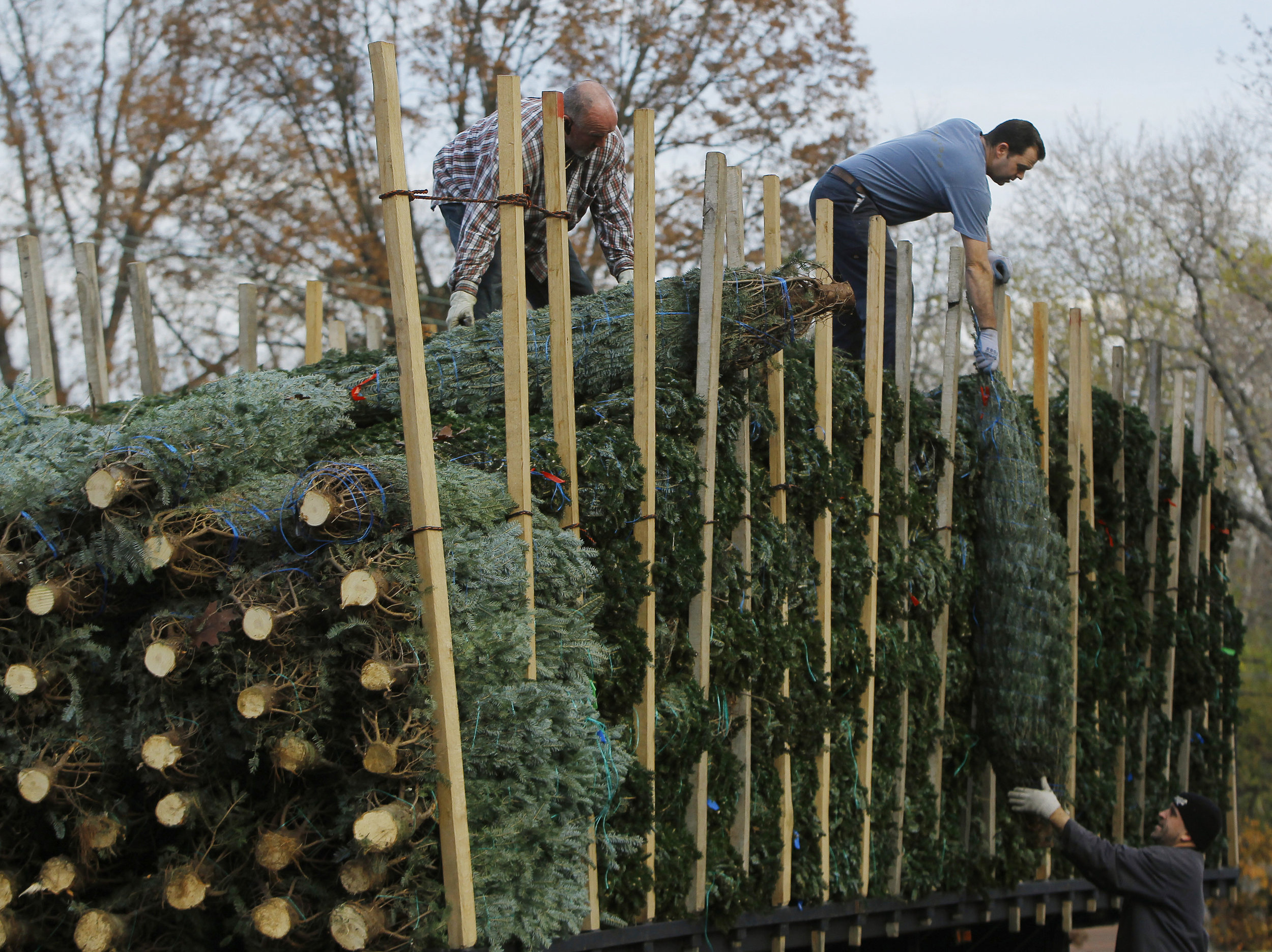 Unloading Fraser - Side of Truck.jpeg