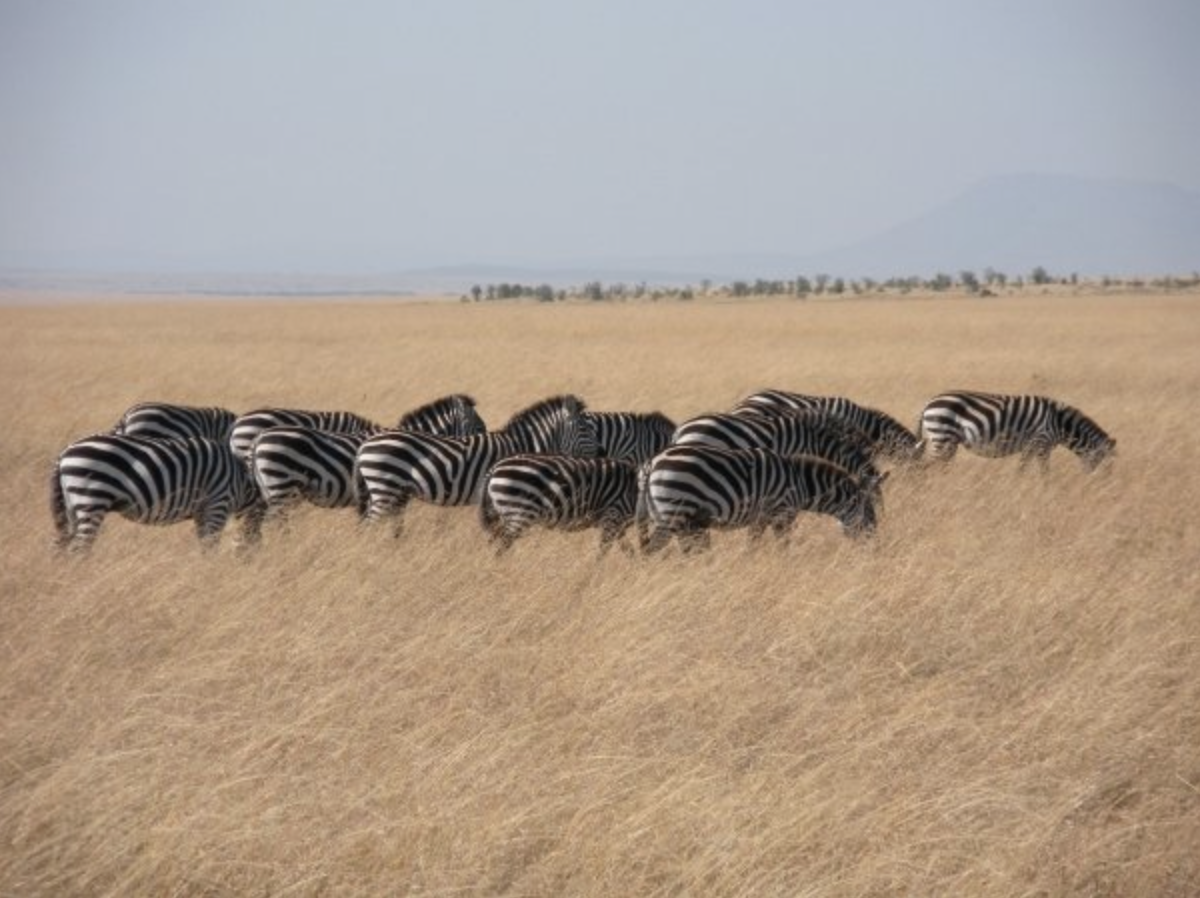 Screen Shot 2014-10-27 at 11.04.40 PM.png