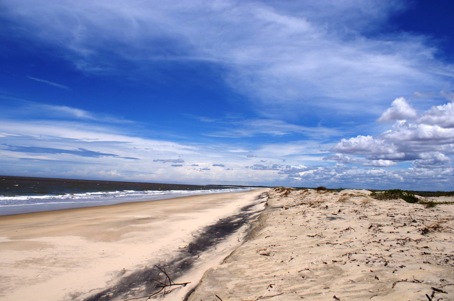 Screen Shot 2014-12-28 at 1.32.53 PM.png