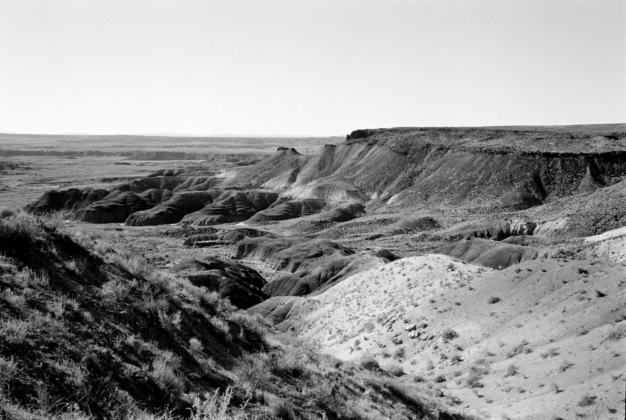 The Painted Desert