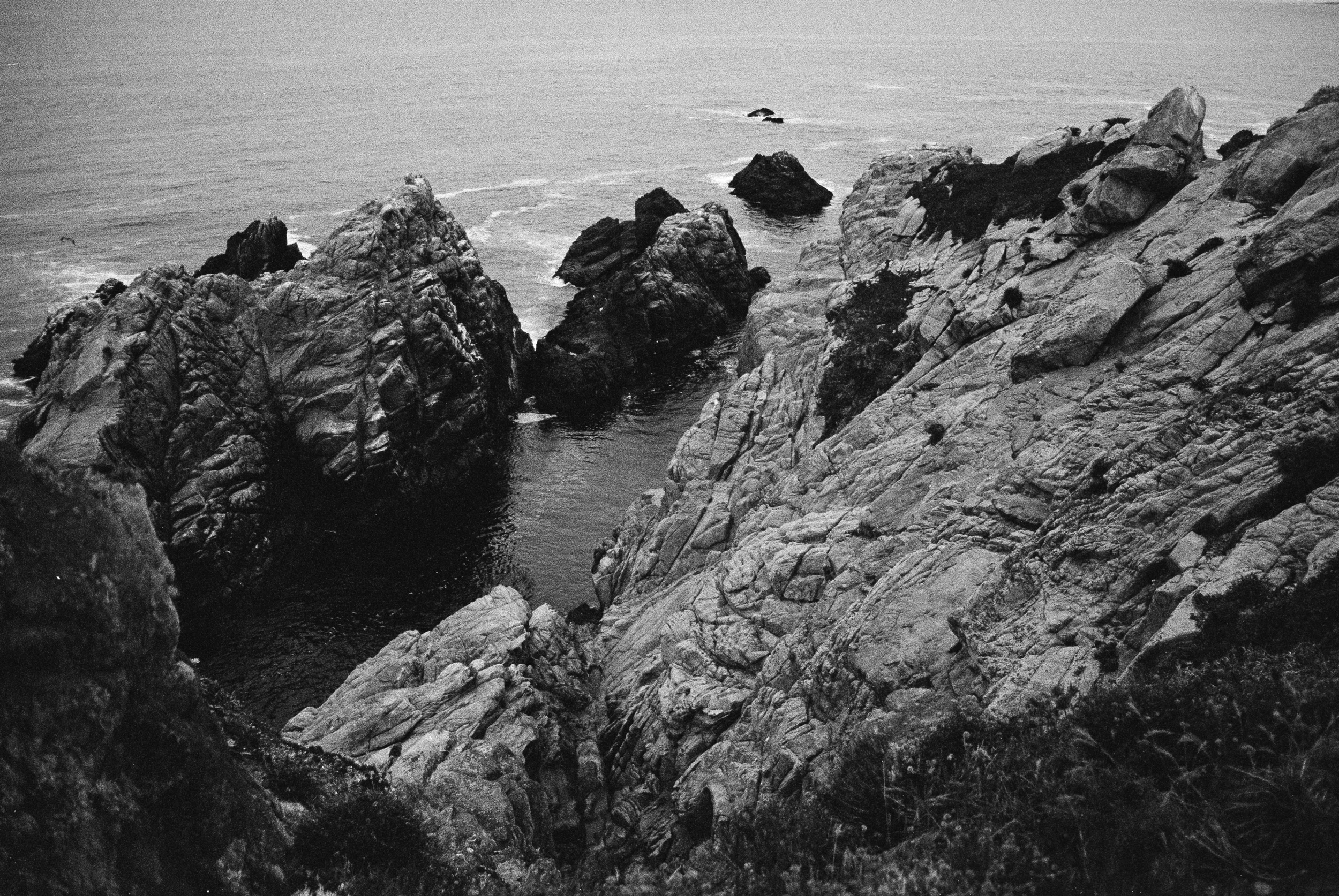 Point Lobos I