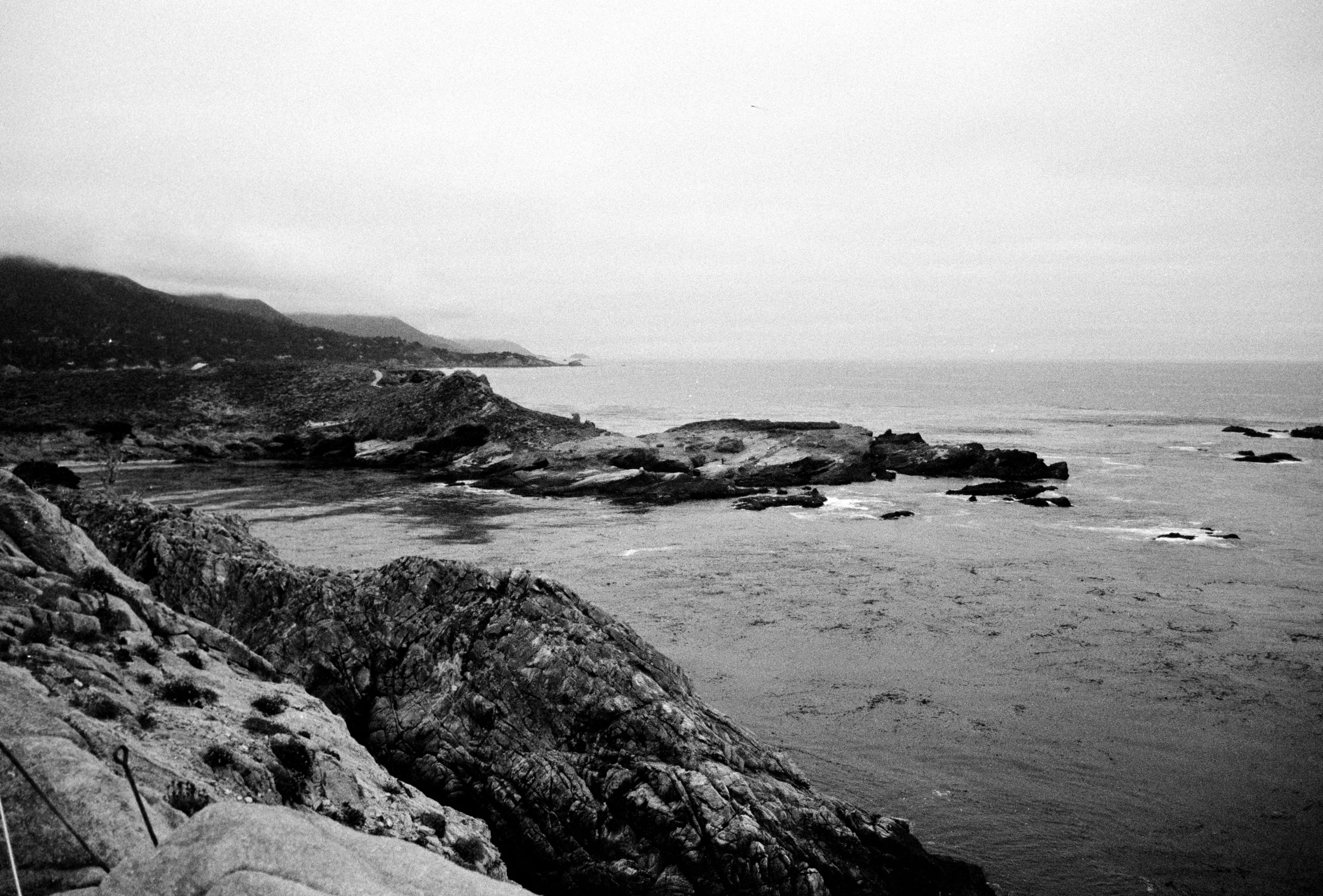 Point Lobos II