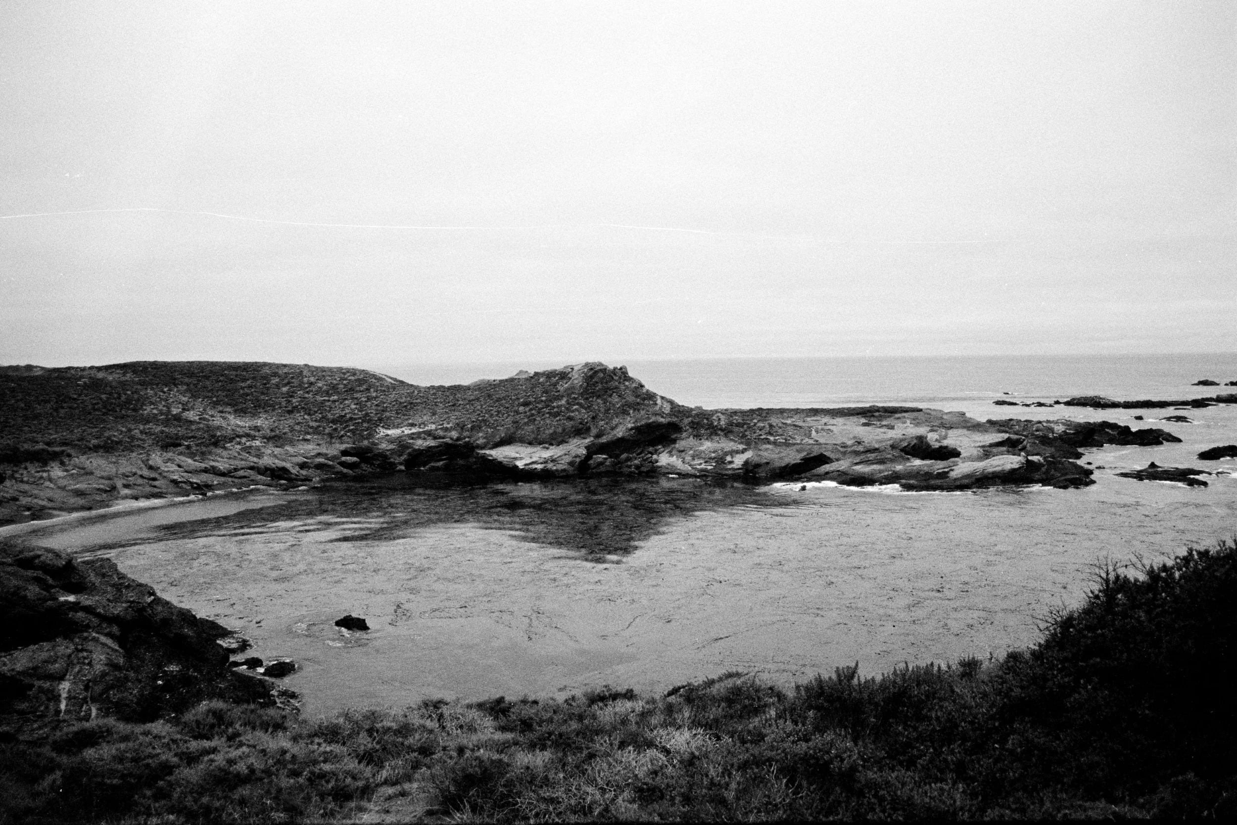 Point Lobos III
