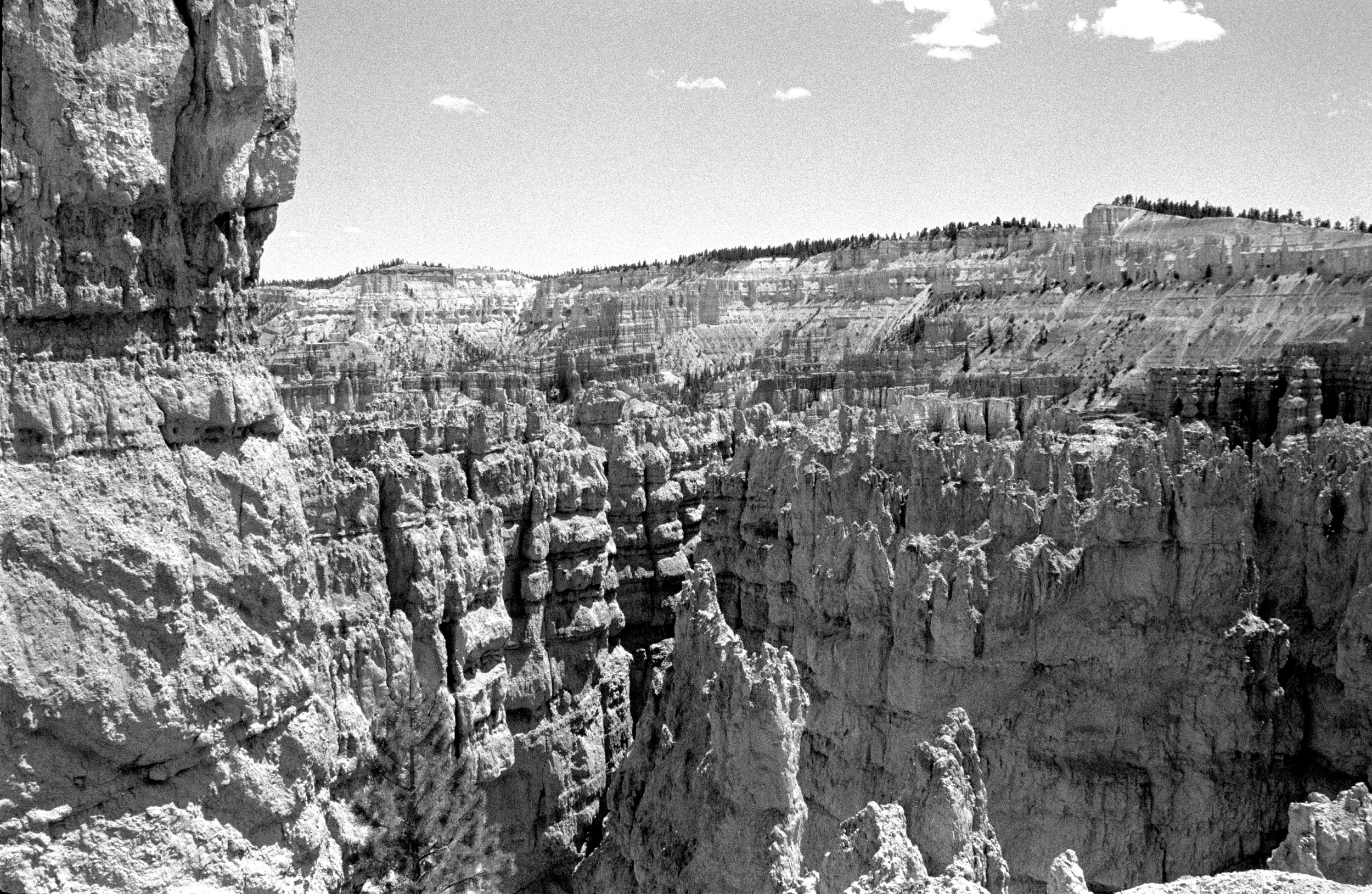 Bryce - 2.jpg