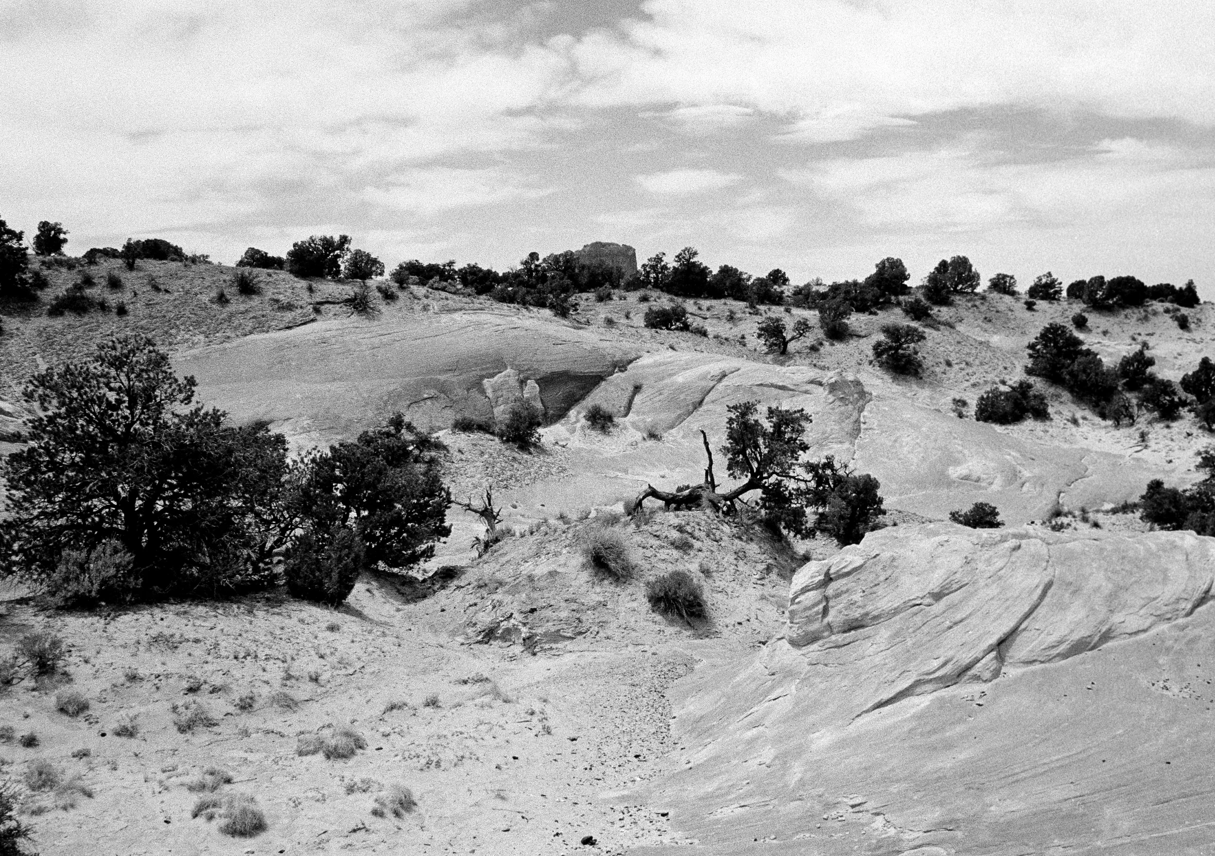 Desert.jpg