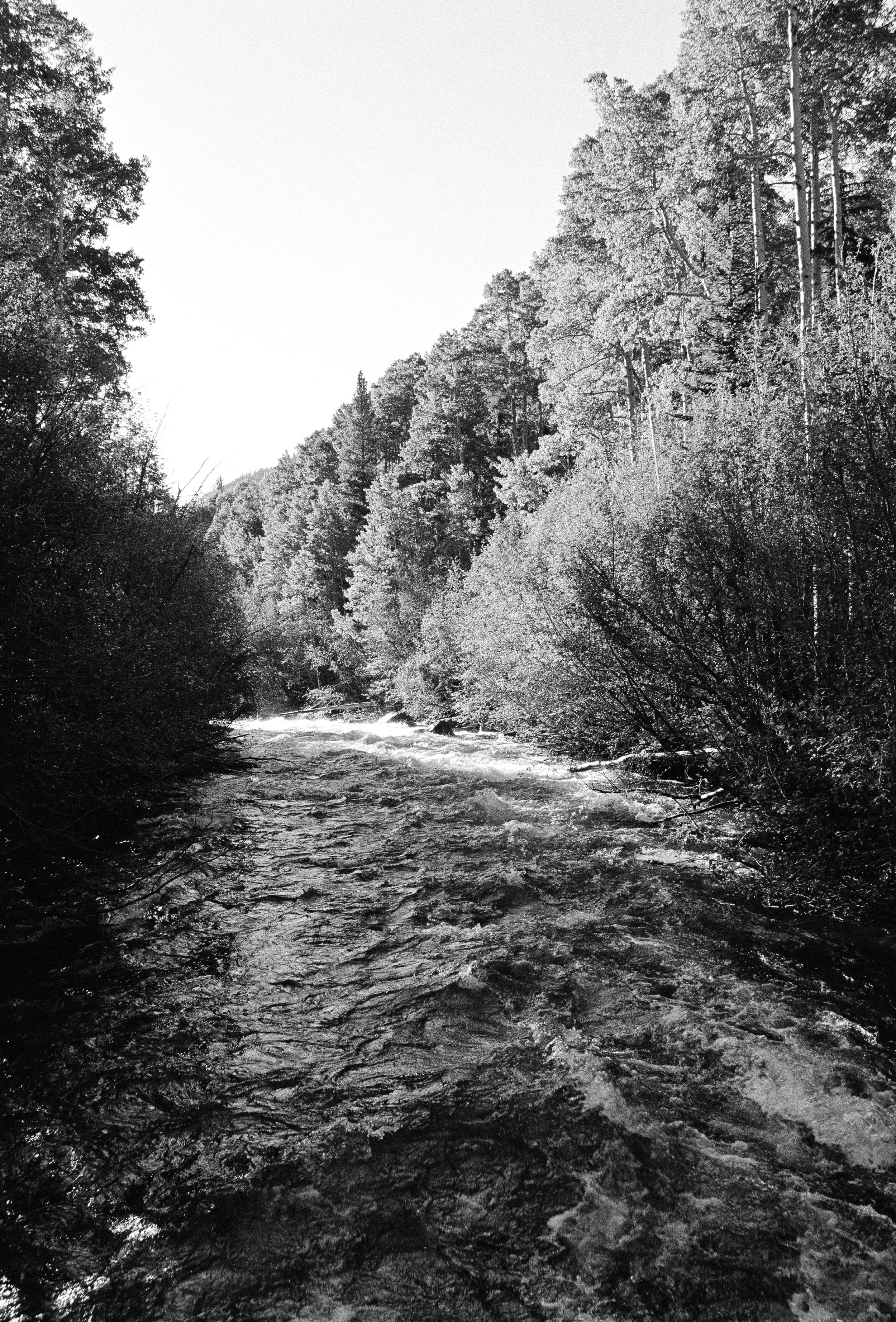River Levels.jpg