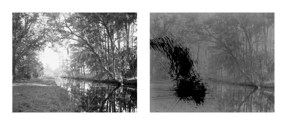 Dissonance-4.jpg