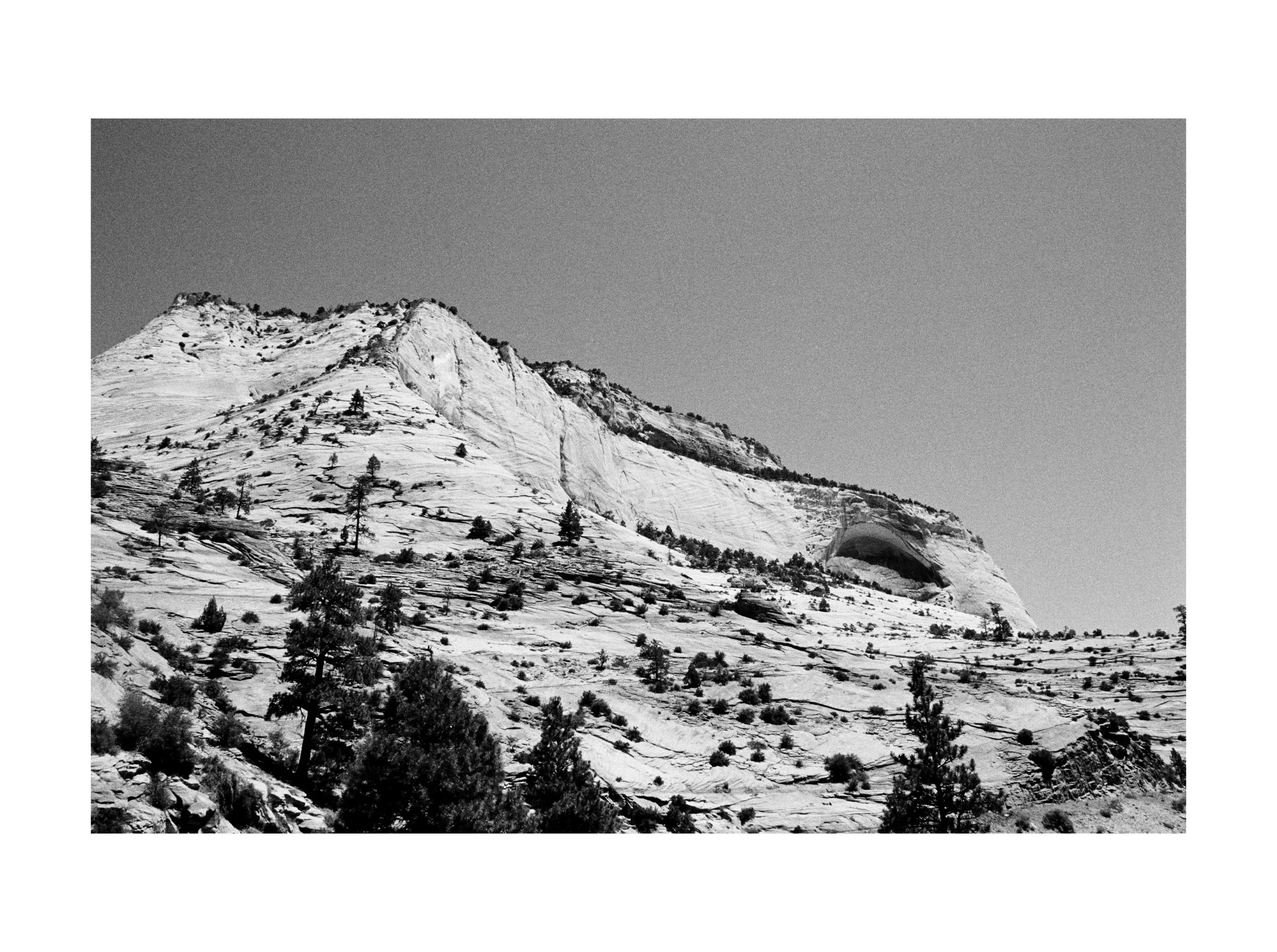 Zion - 2 editboarder.jpg