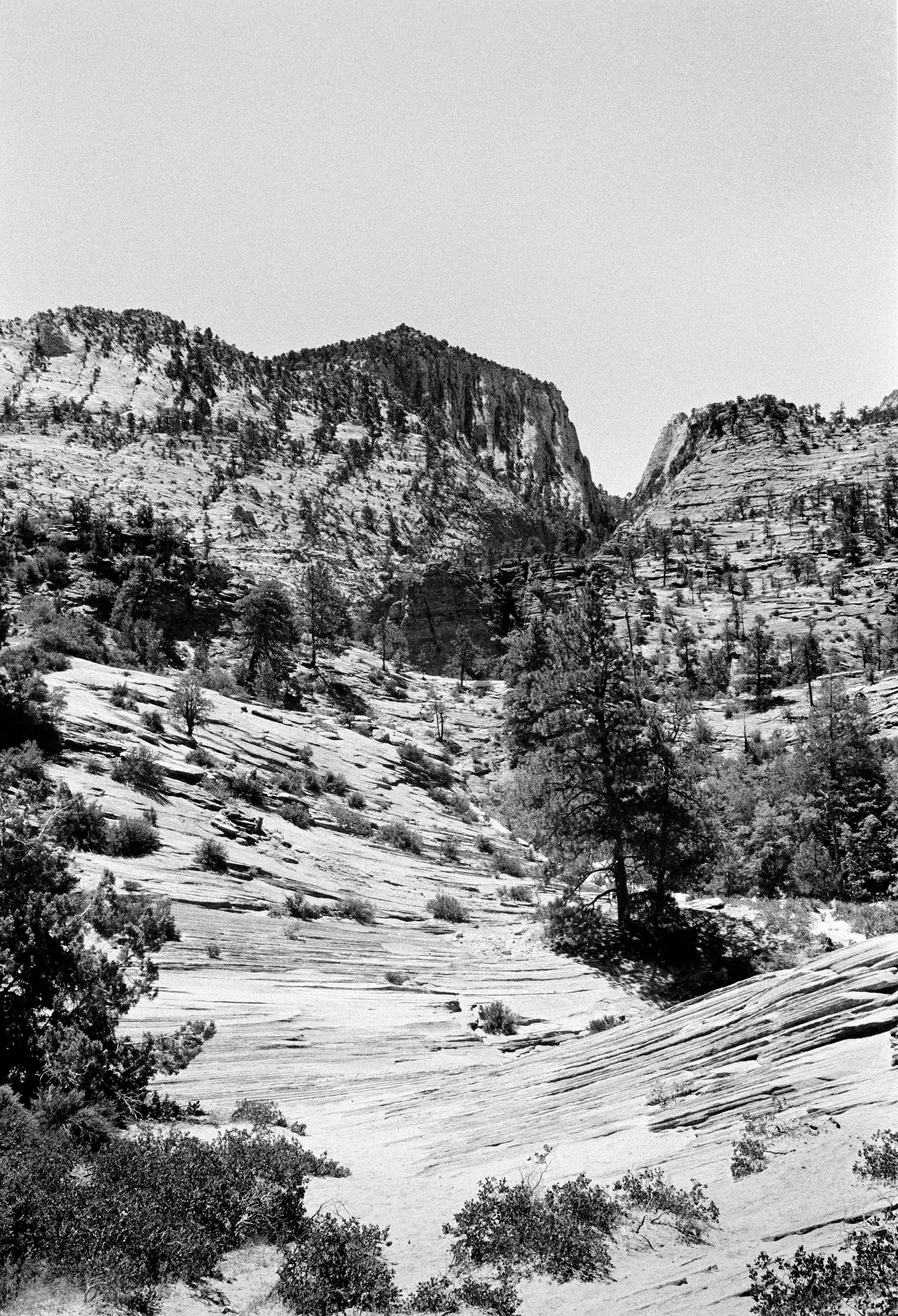 Zion 3.jpg