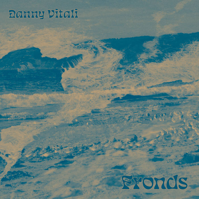 Danny Vitali - Fronds - Production, Engineering, Mixing, Keyboards