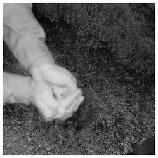 Meernaa - A Little Honey - Production, Engineering, Mixing, Keyboards 